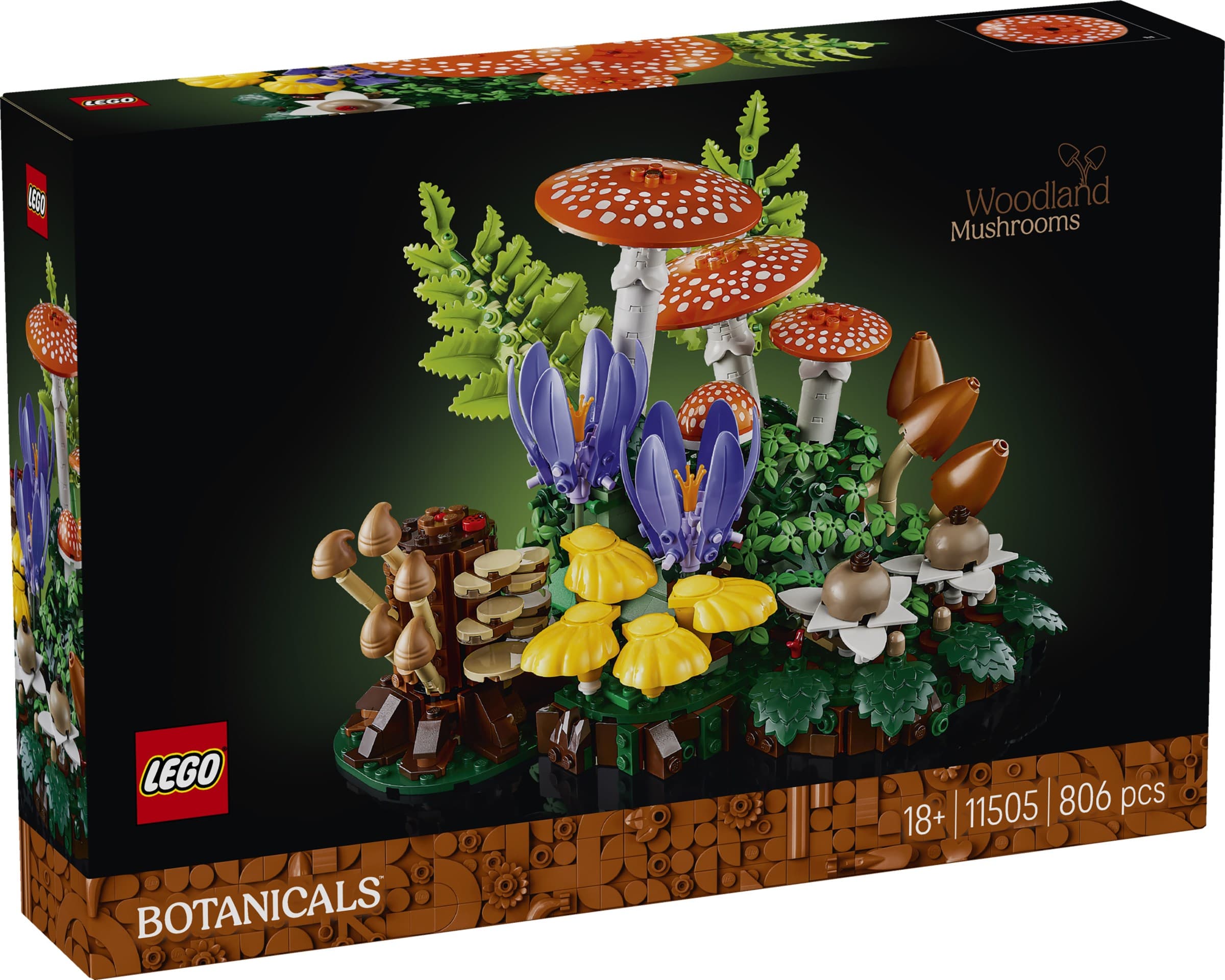 Woodland Mushrooms