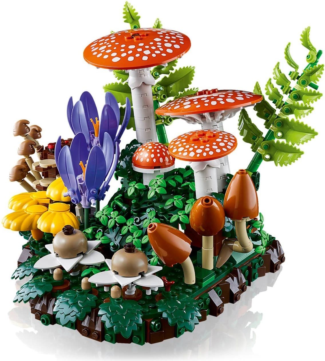 Woodland Mushrooms