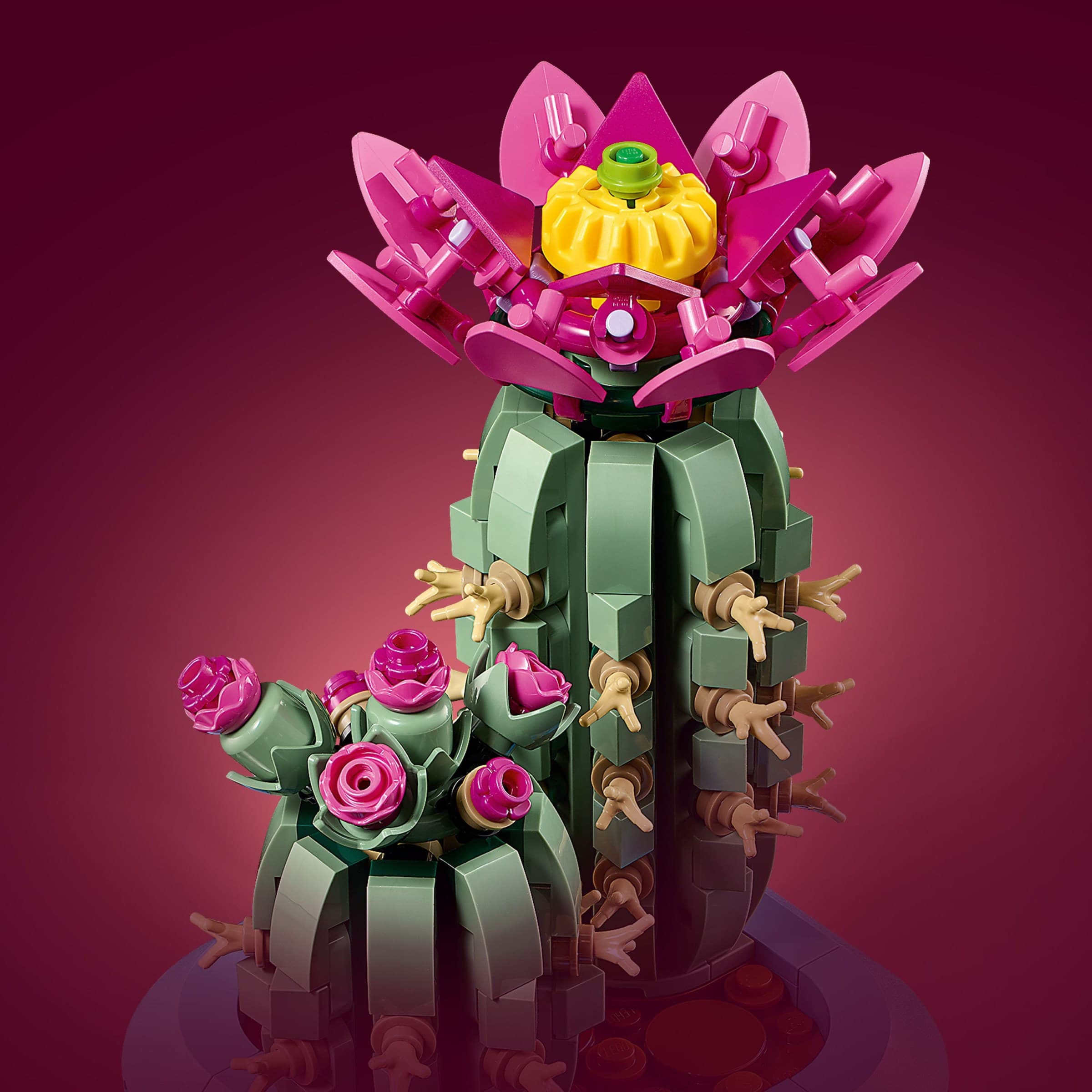 Flowering Cactus