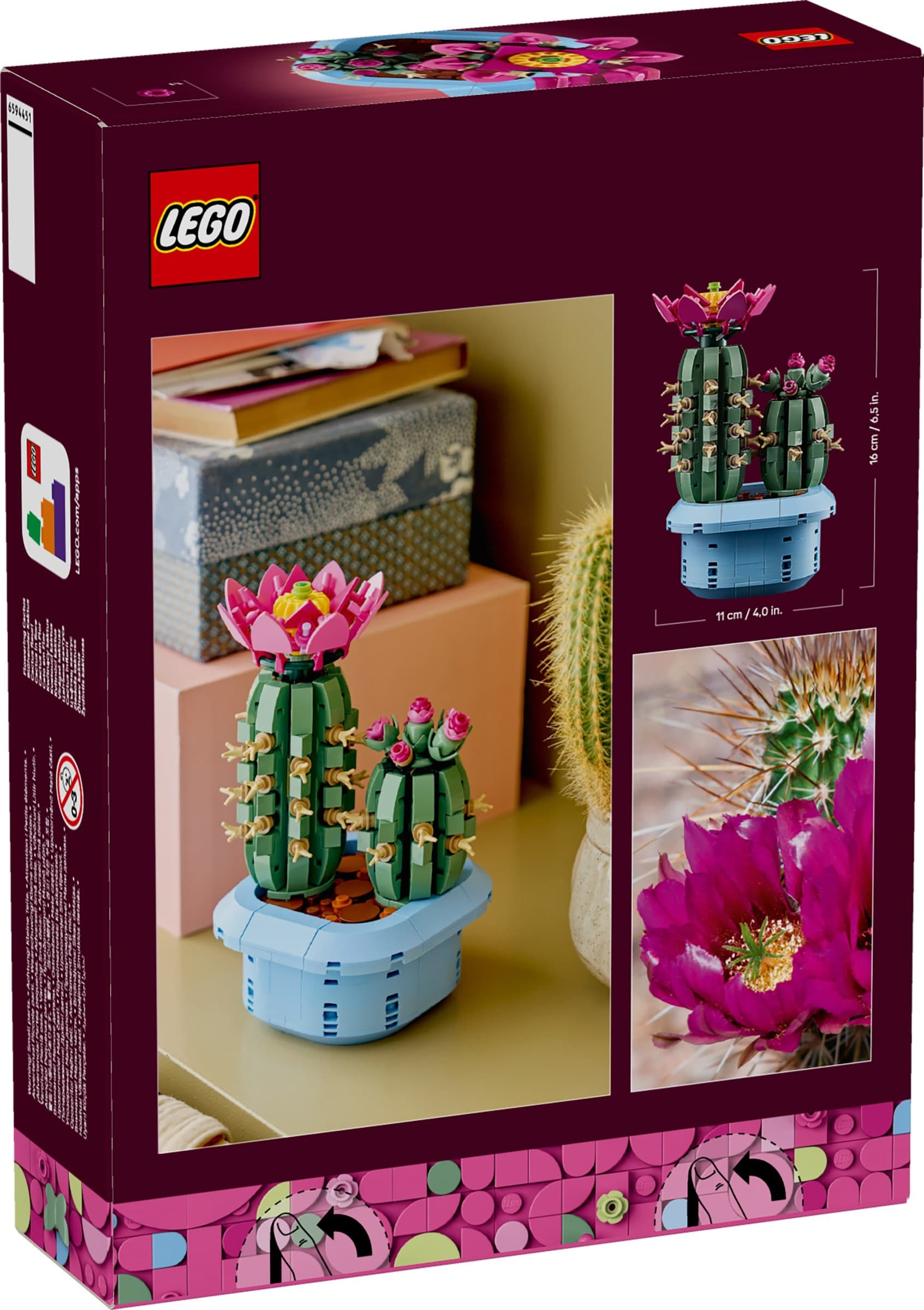 Flowering Cactus