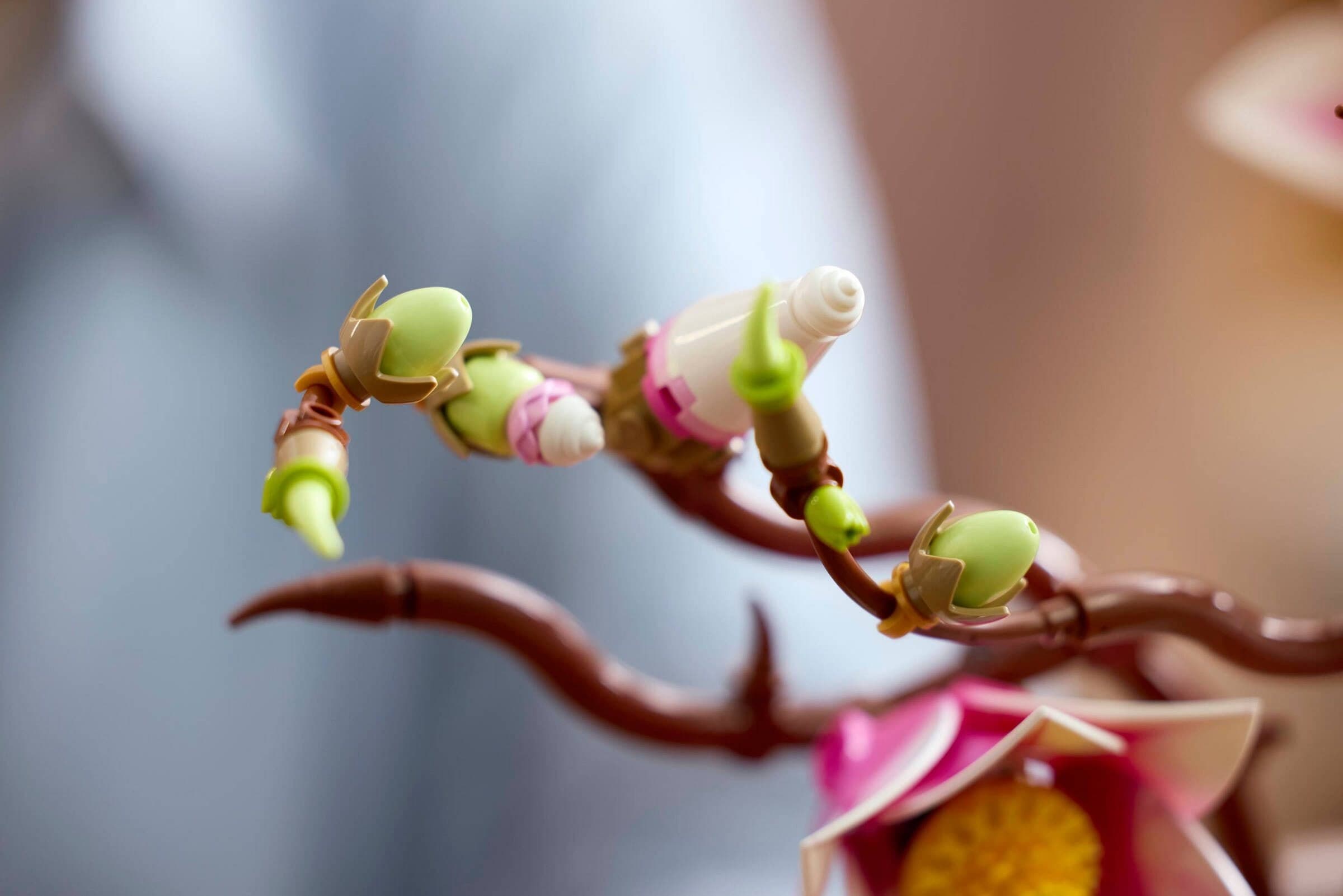 Magnolia Branches