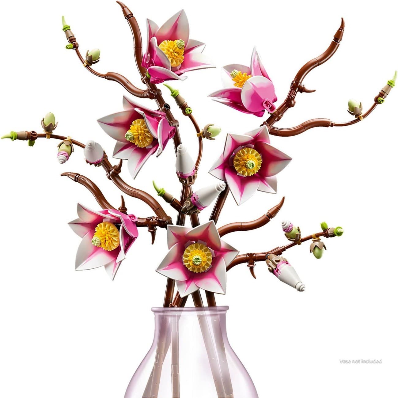 Magnolia Branches