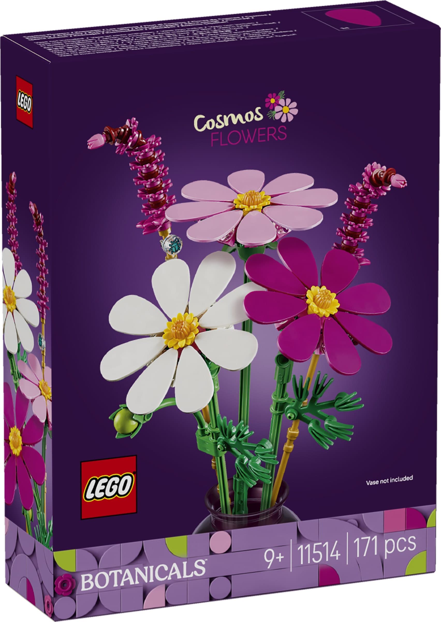 Cosmos Flowers