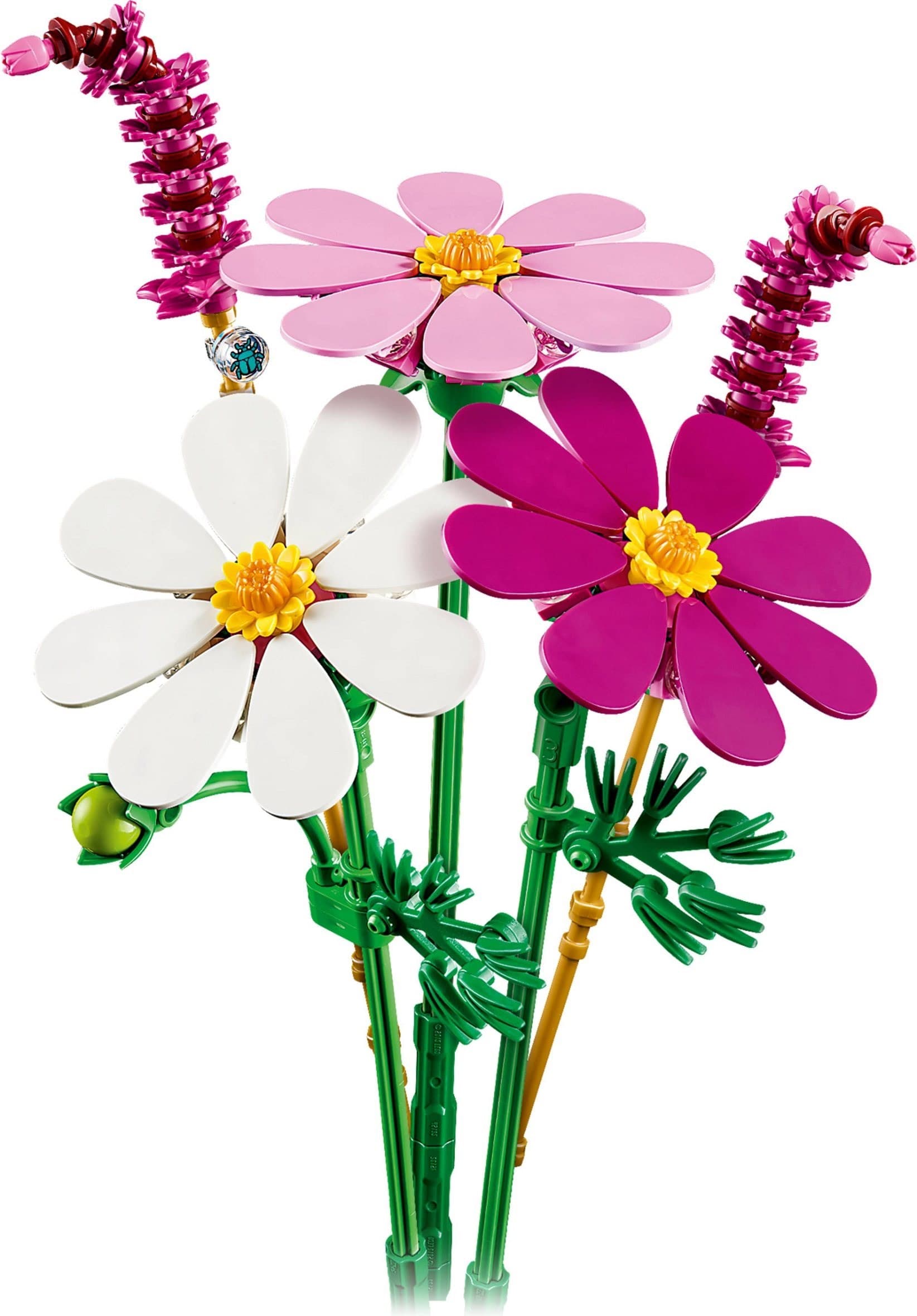 Cosmos Flowers