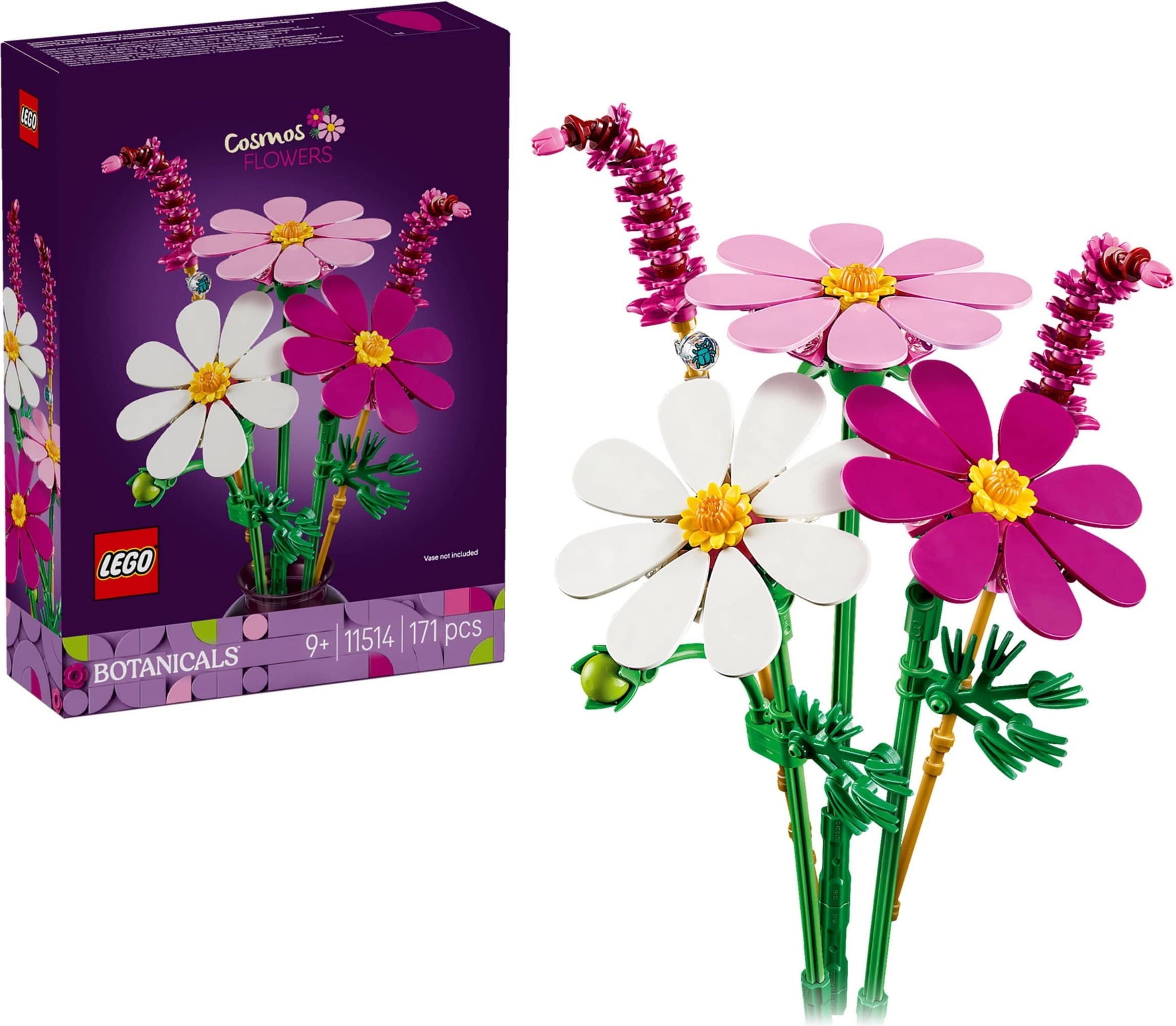 Cosmos Flowers
