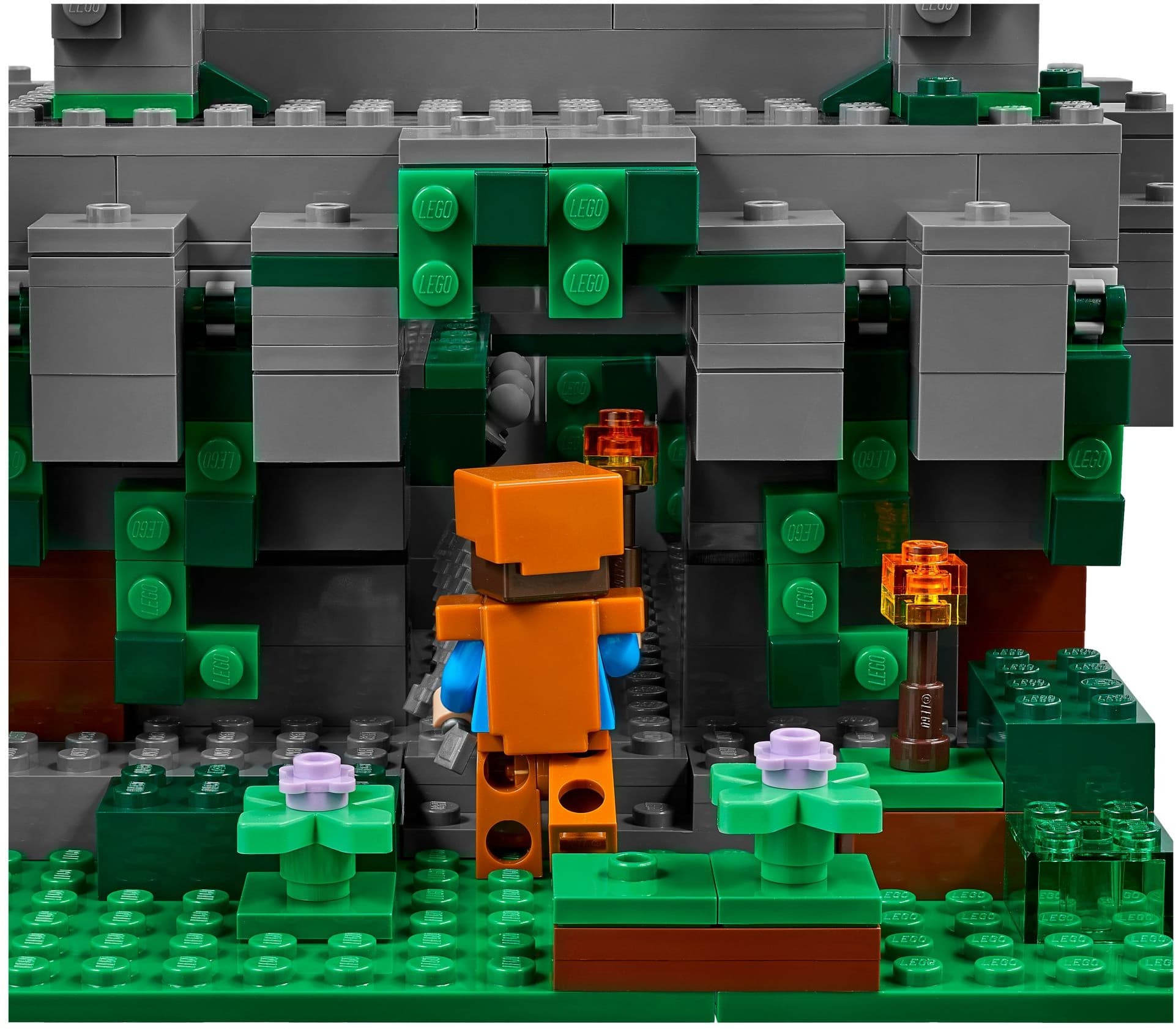 The Jungle Temple