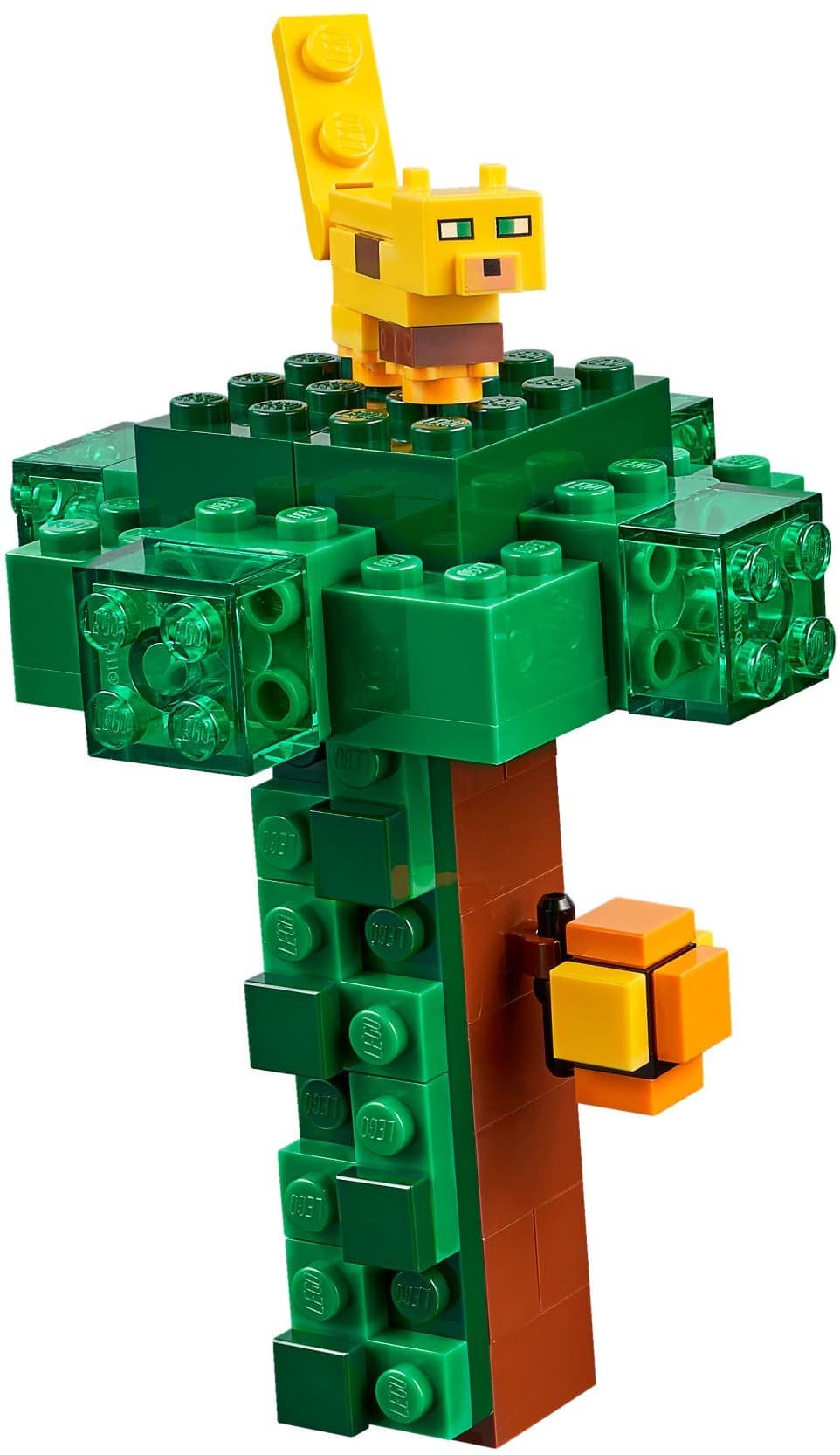 The Jungle Temple