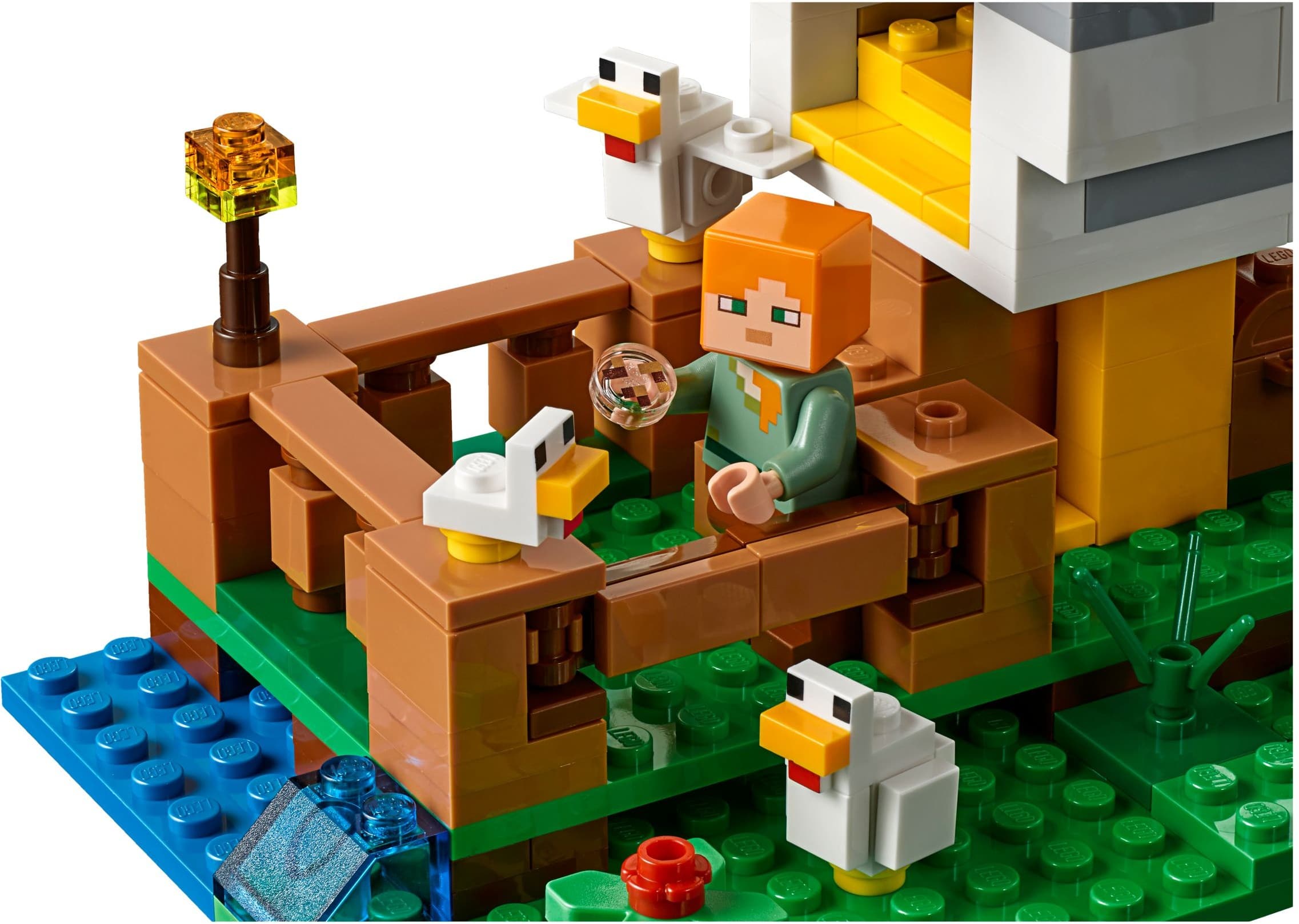 The Chicken Coop