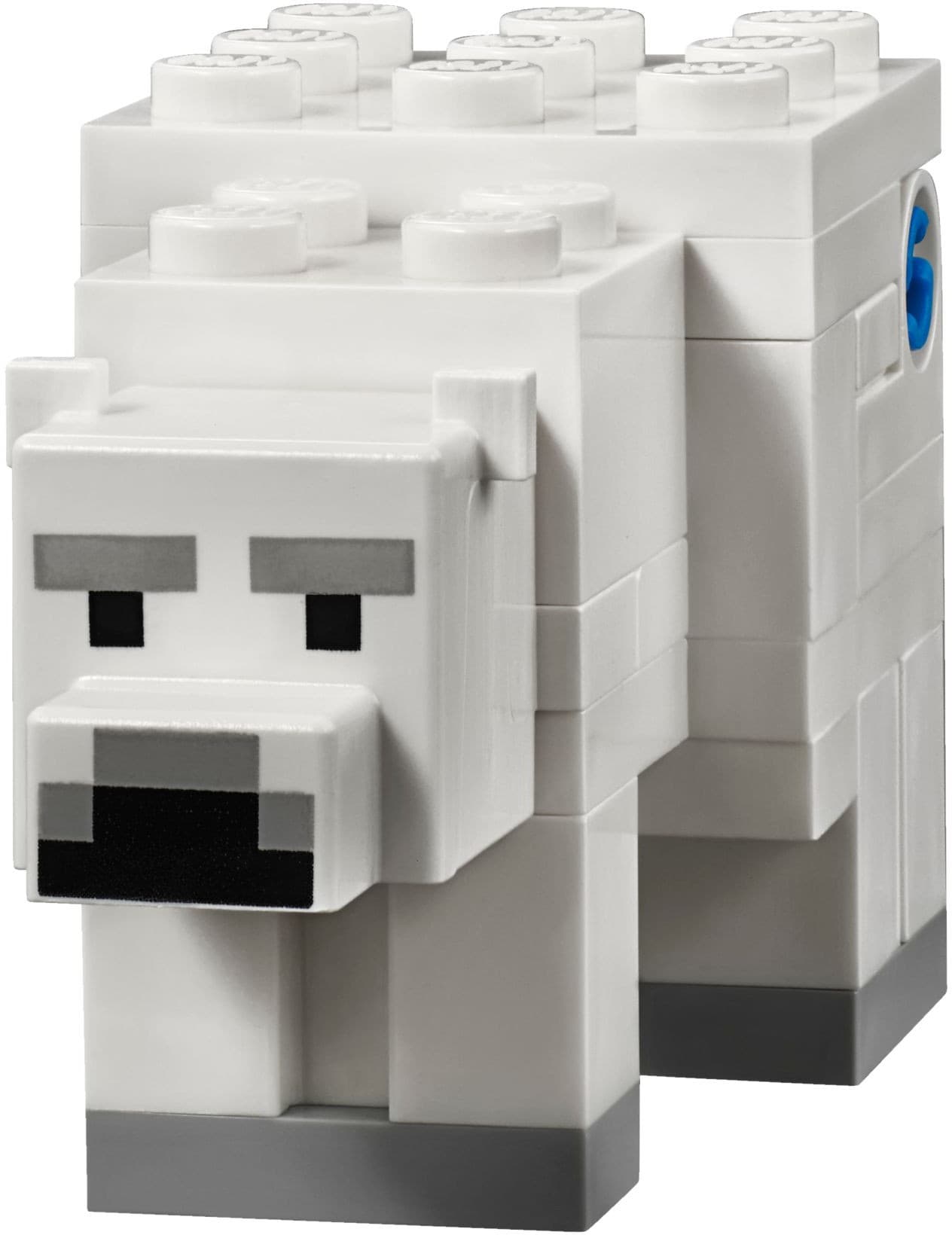 The Polar Igloo