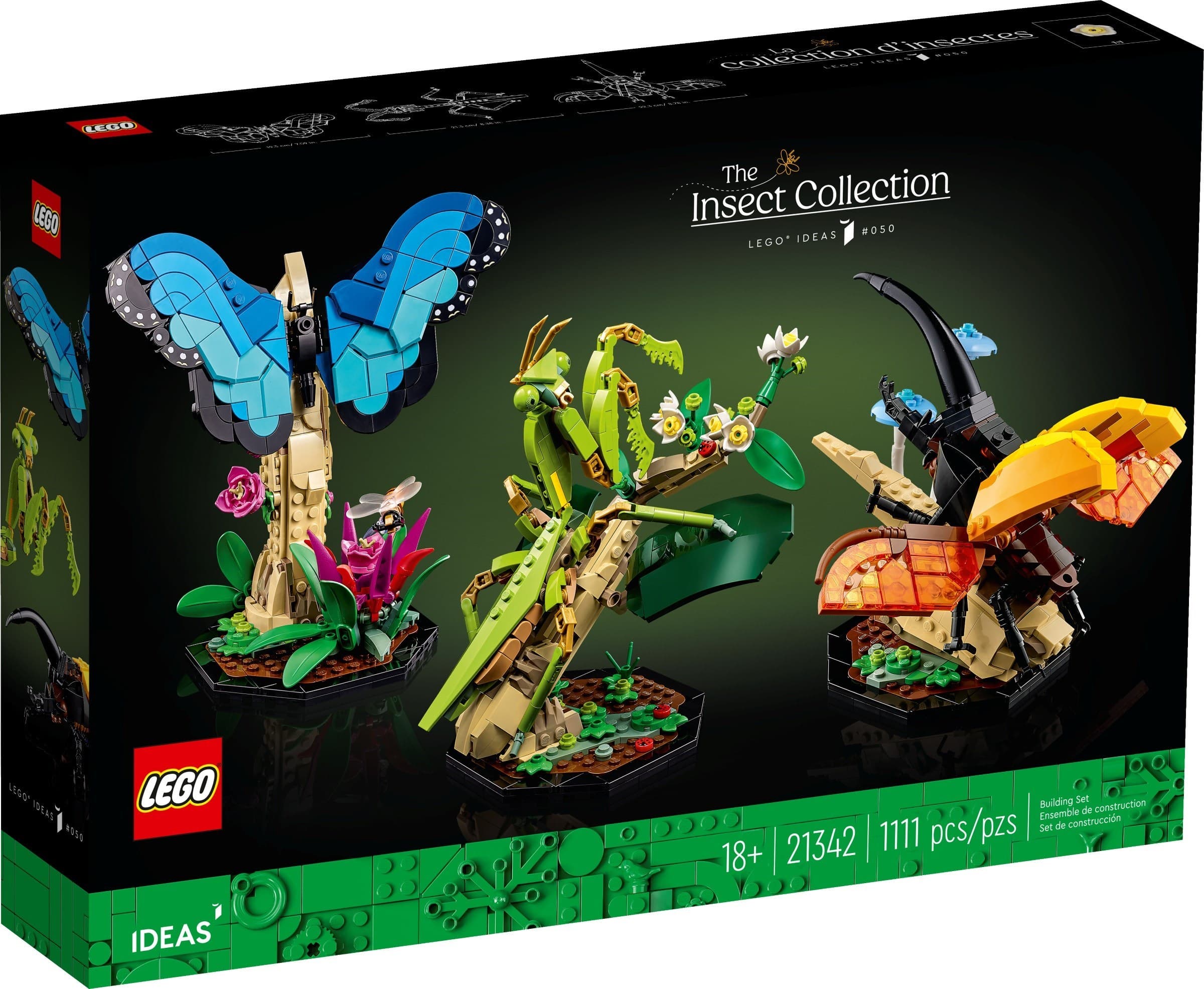 The Insect Collection