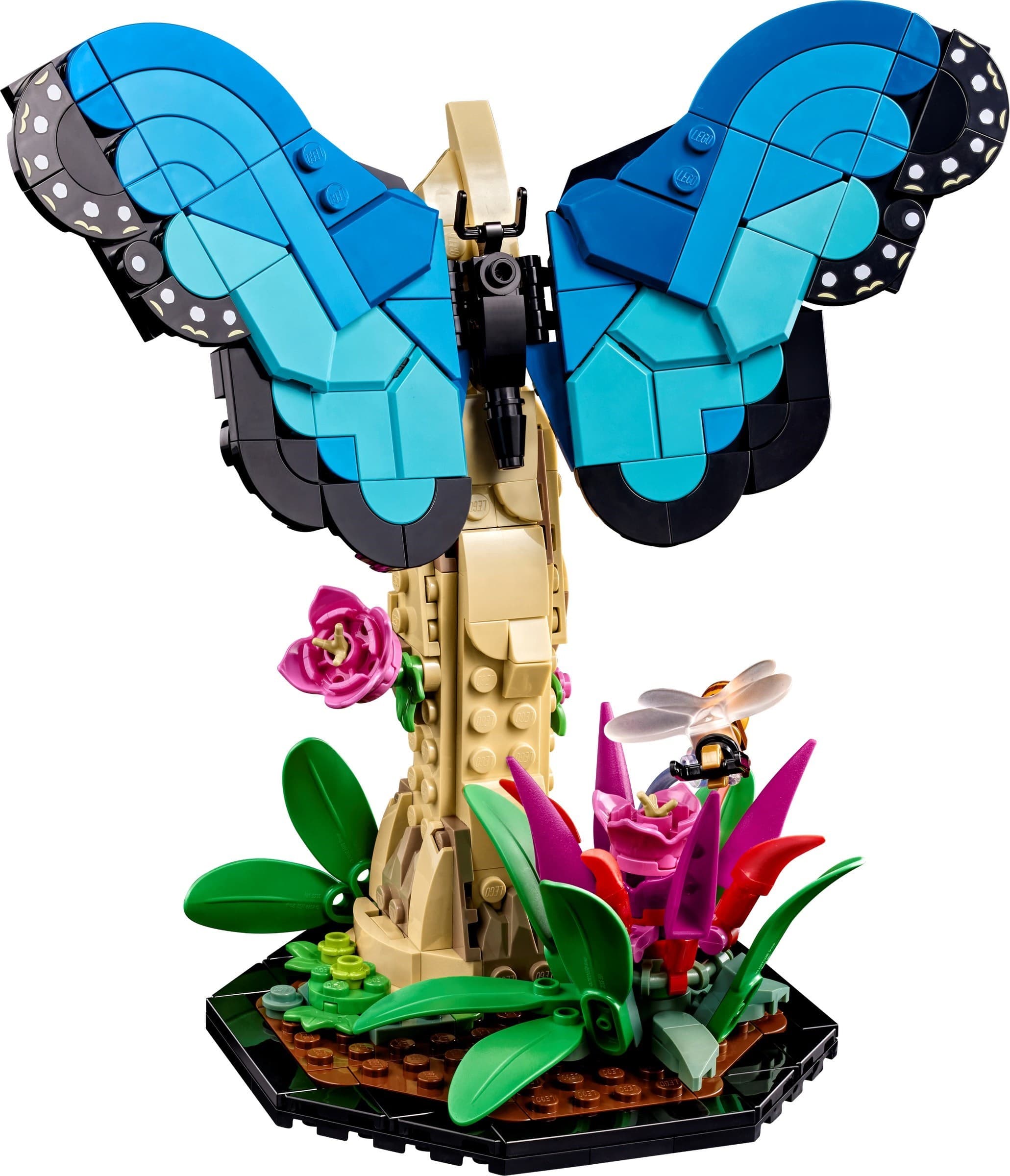 The Insect Collection