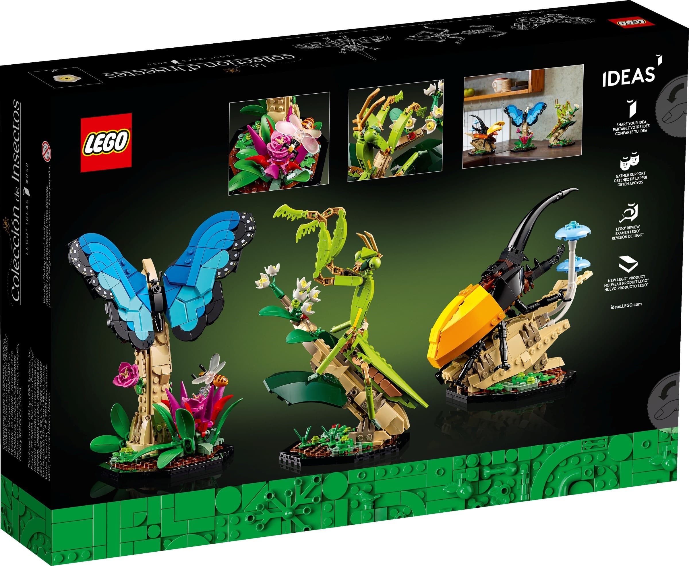 The Insect Collection