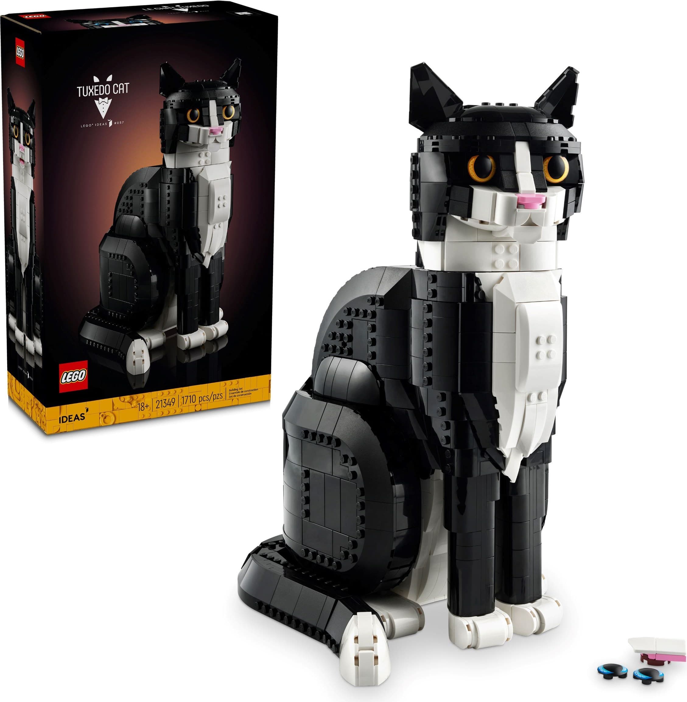 Tuxedo Cat