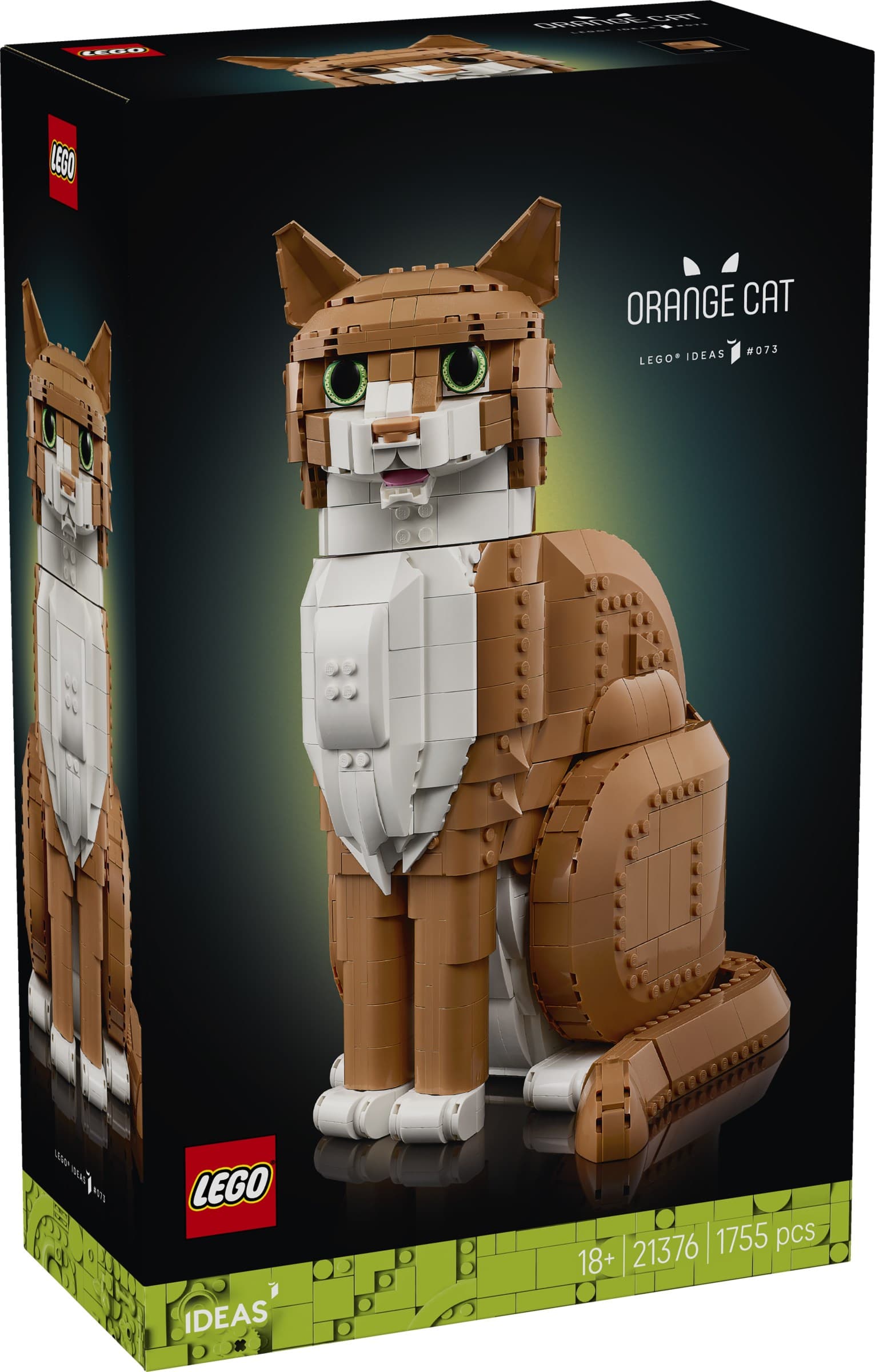 Orange Cat