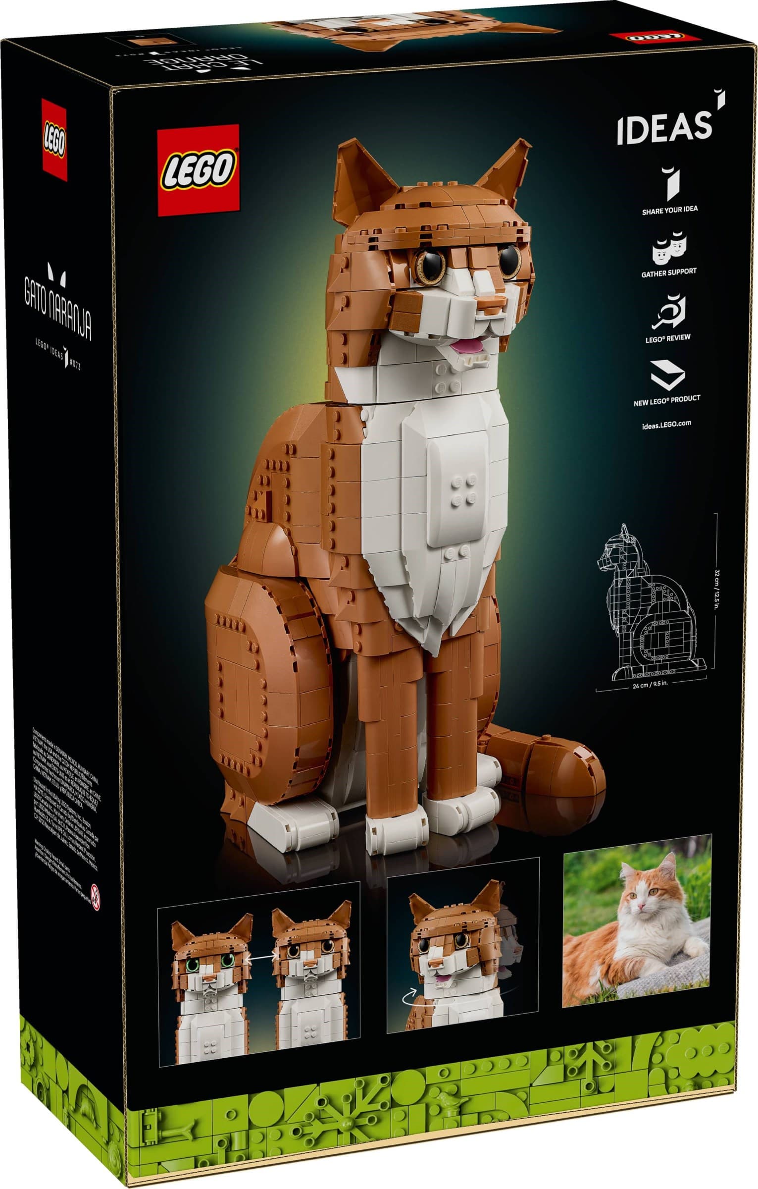 Orange Cat