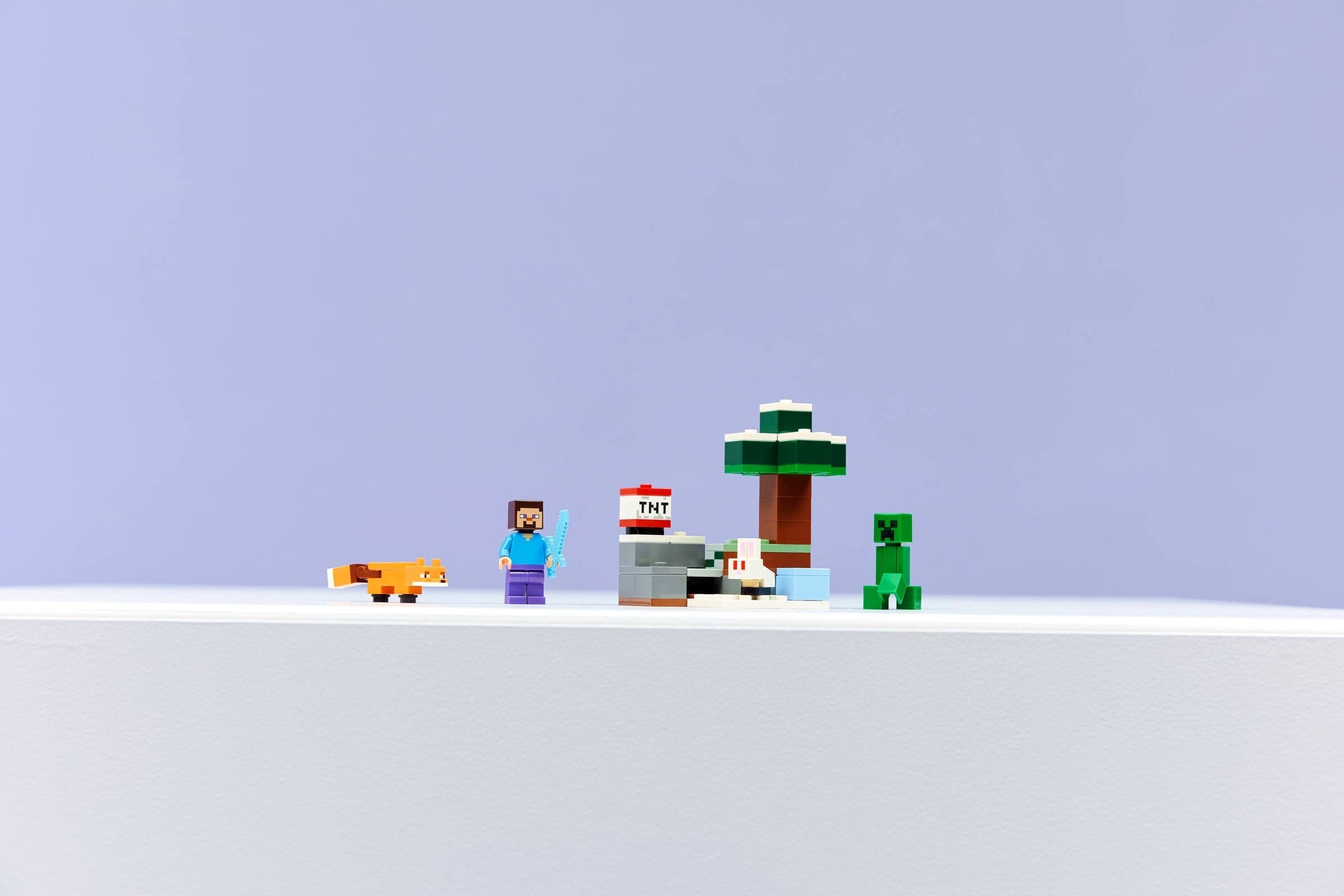 Steve's Taiga Adventure