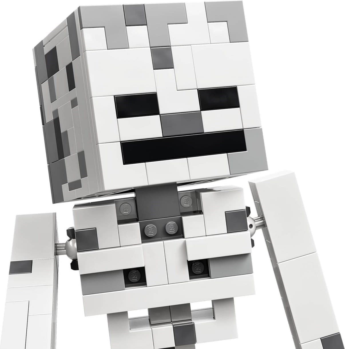 The Skeleton