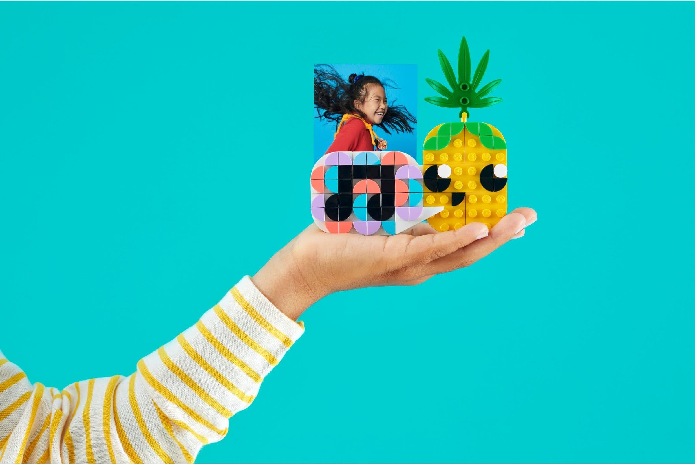 Pineapple Photo Holder and Mini Board