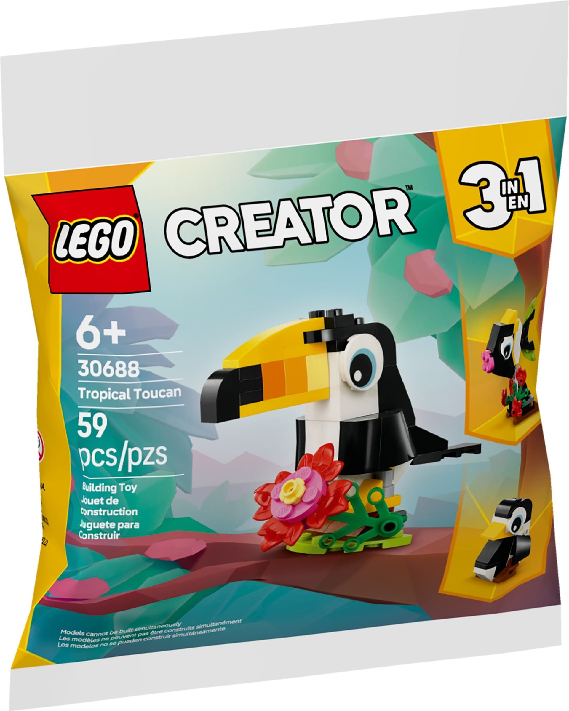 Tropical Toucan