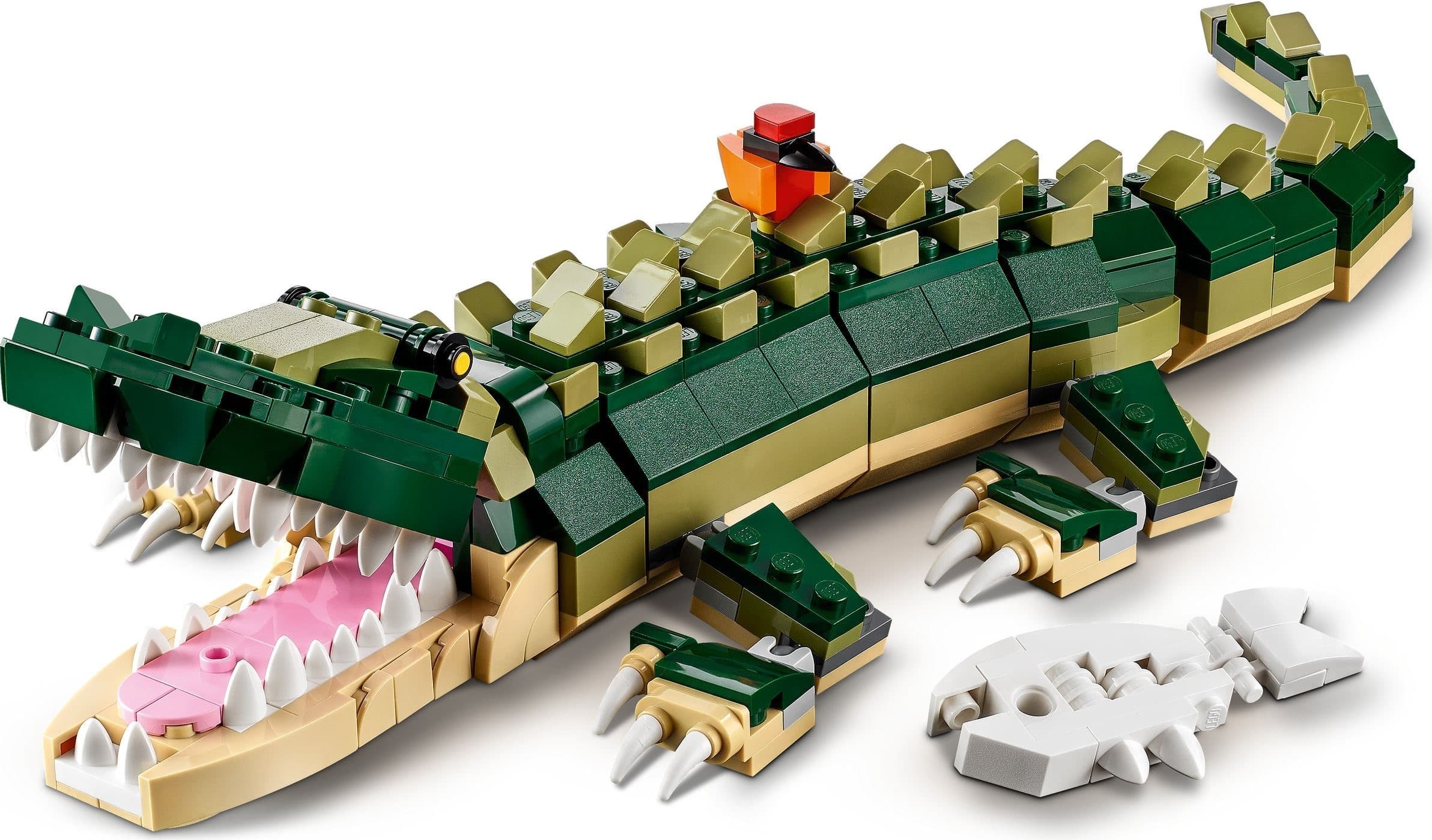 Crocodile