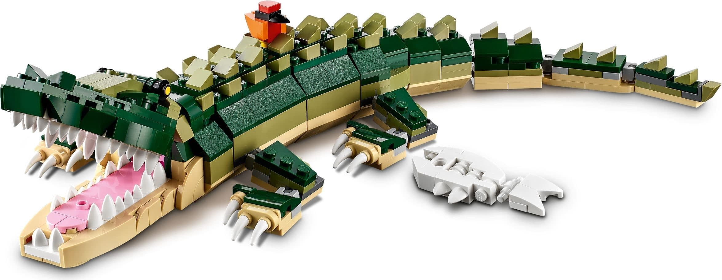 Crocodile