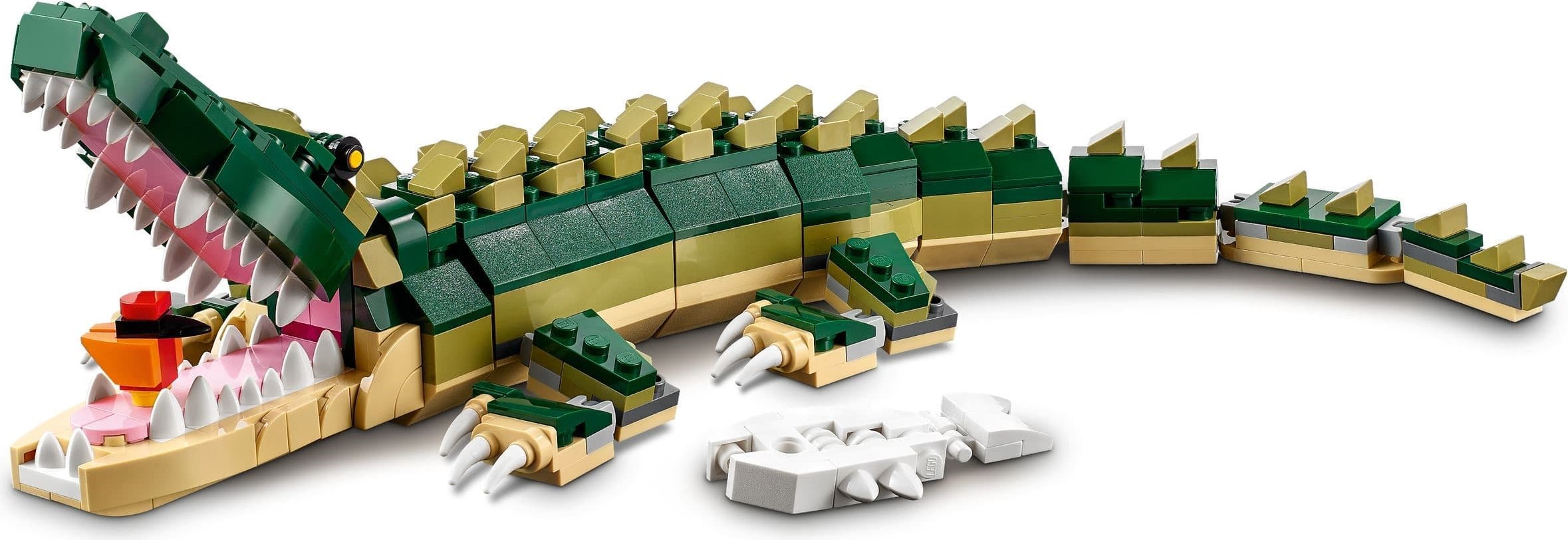 Crocodile