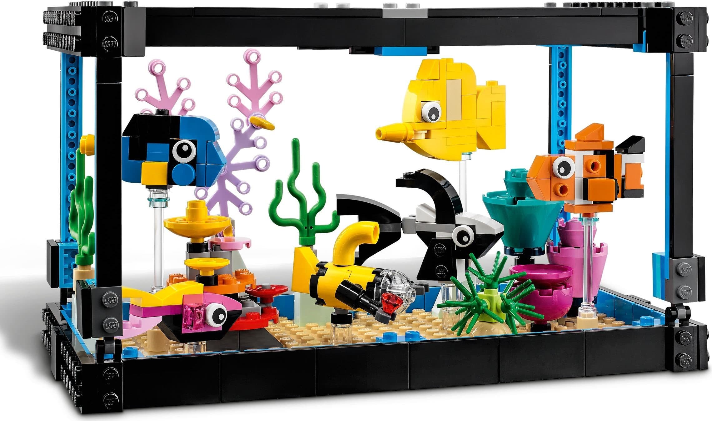 Fish Tank
