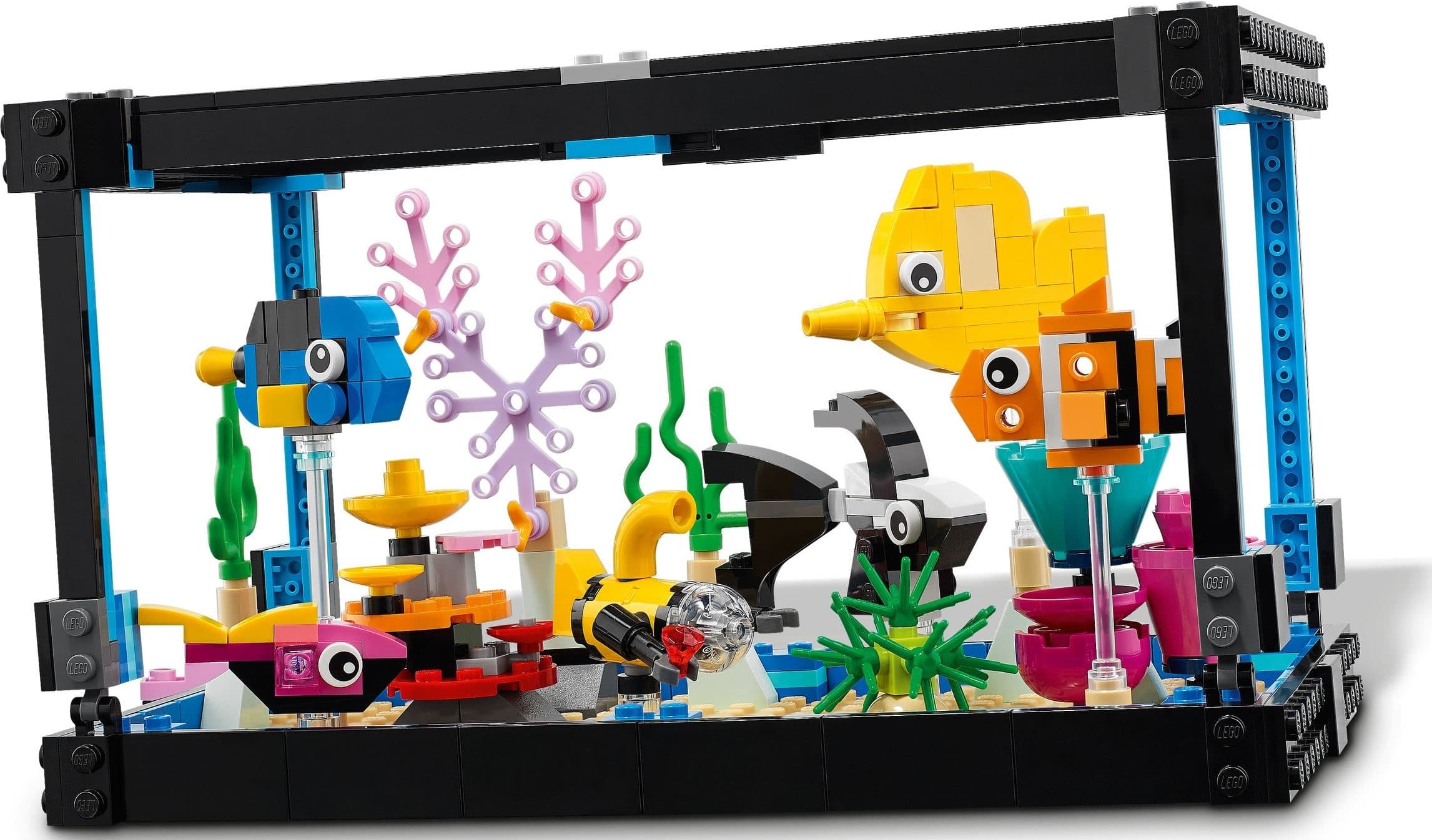 Fish Tank