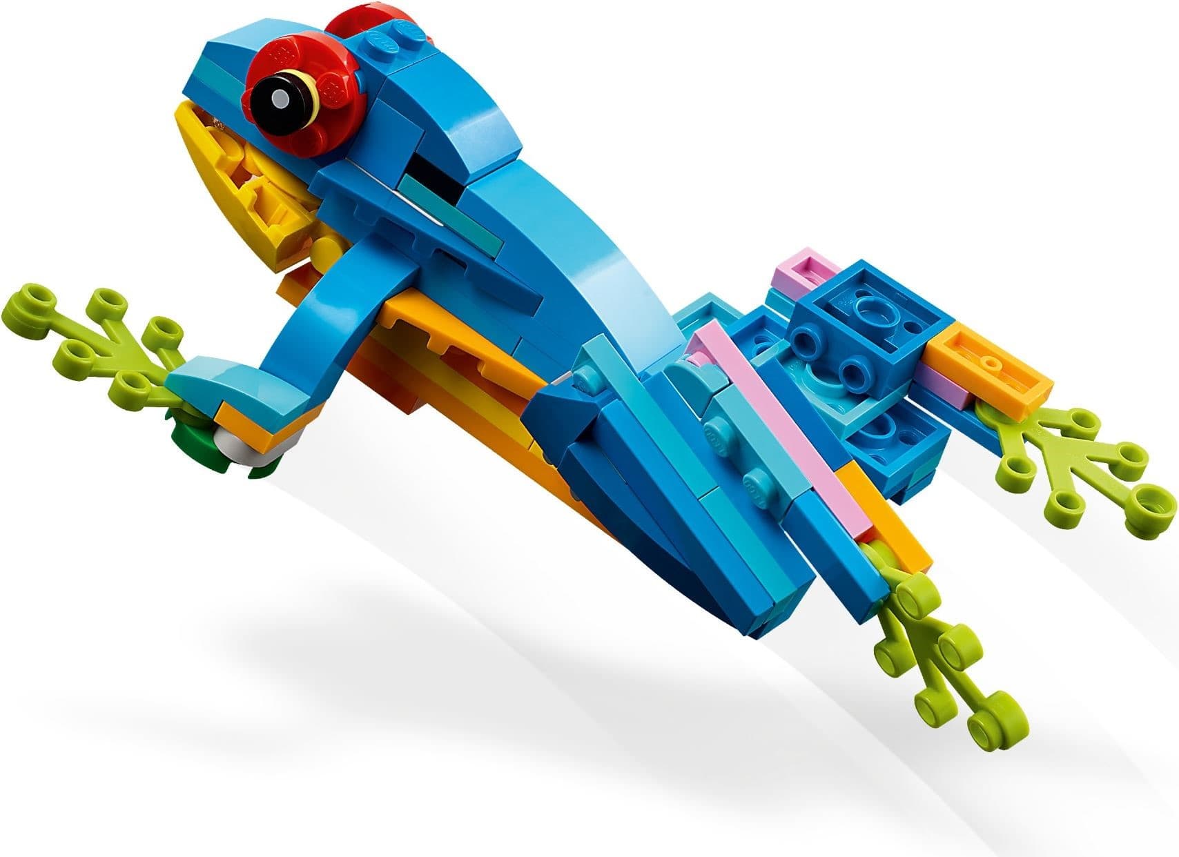 Exotic Parrot