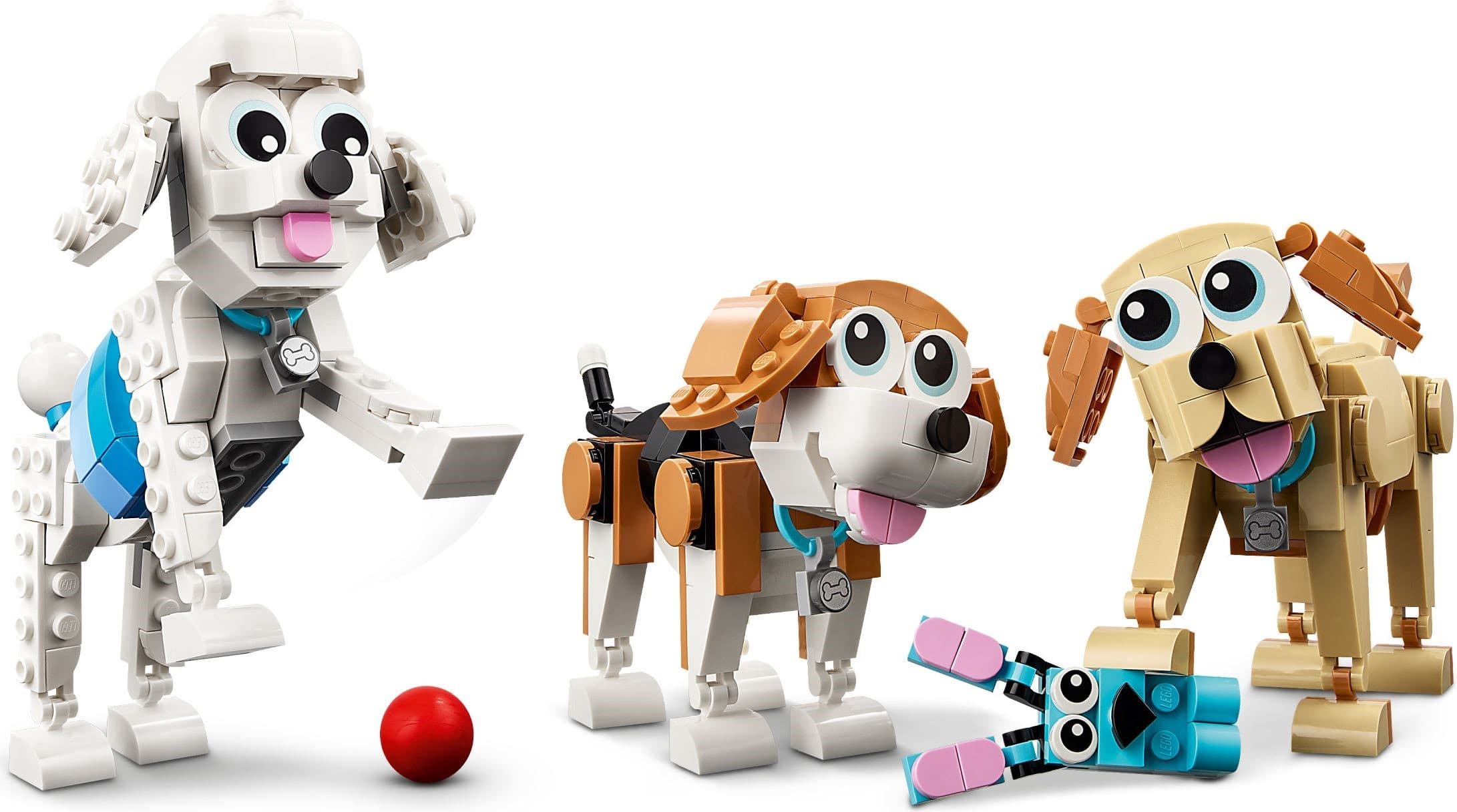 Adorable Dogs