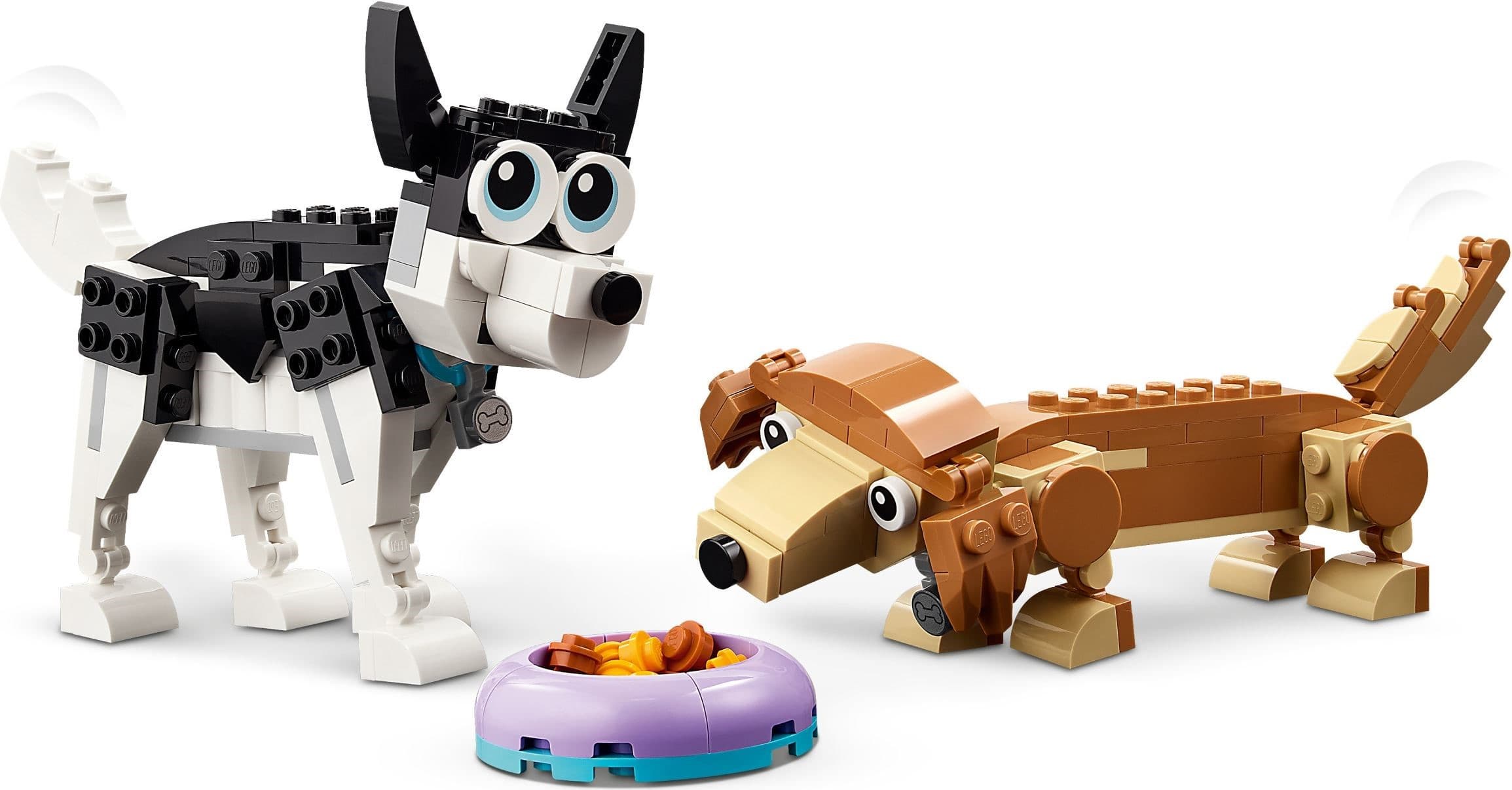 Adorable Dogs