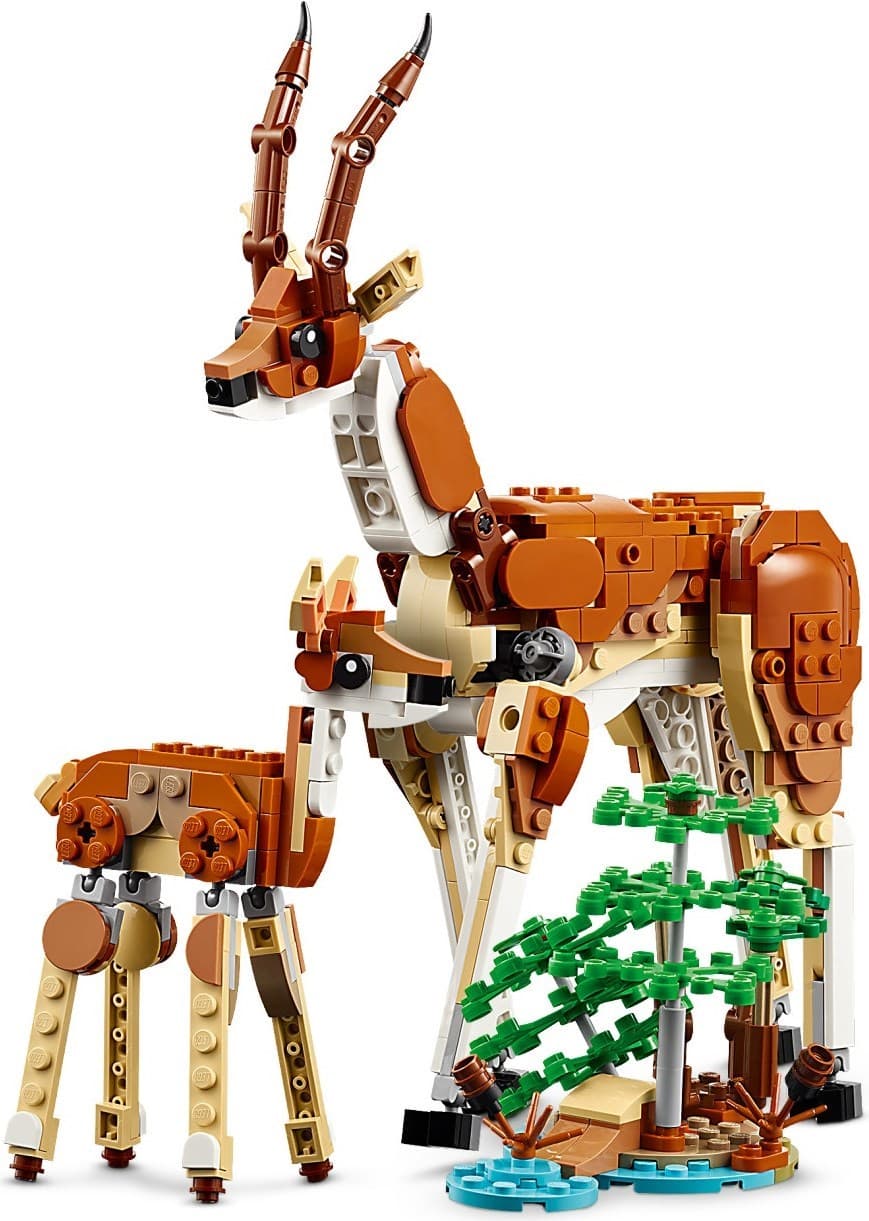Wild Safari Animals