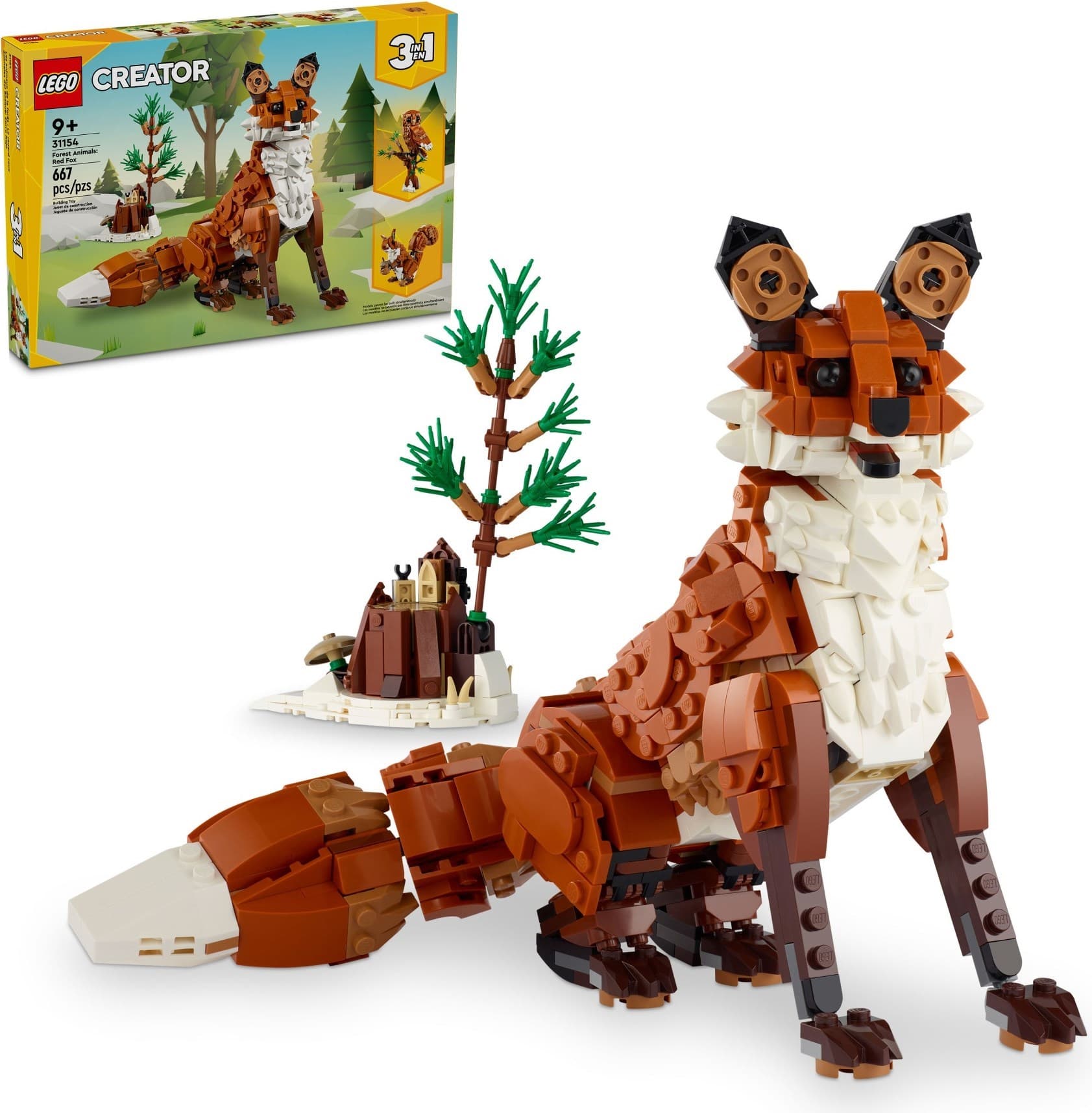 Forest Animals: Red Fox