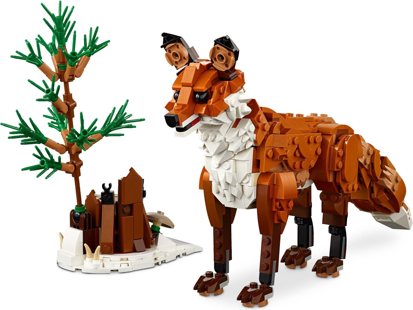 Forest Animals: Red Fox