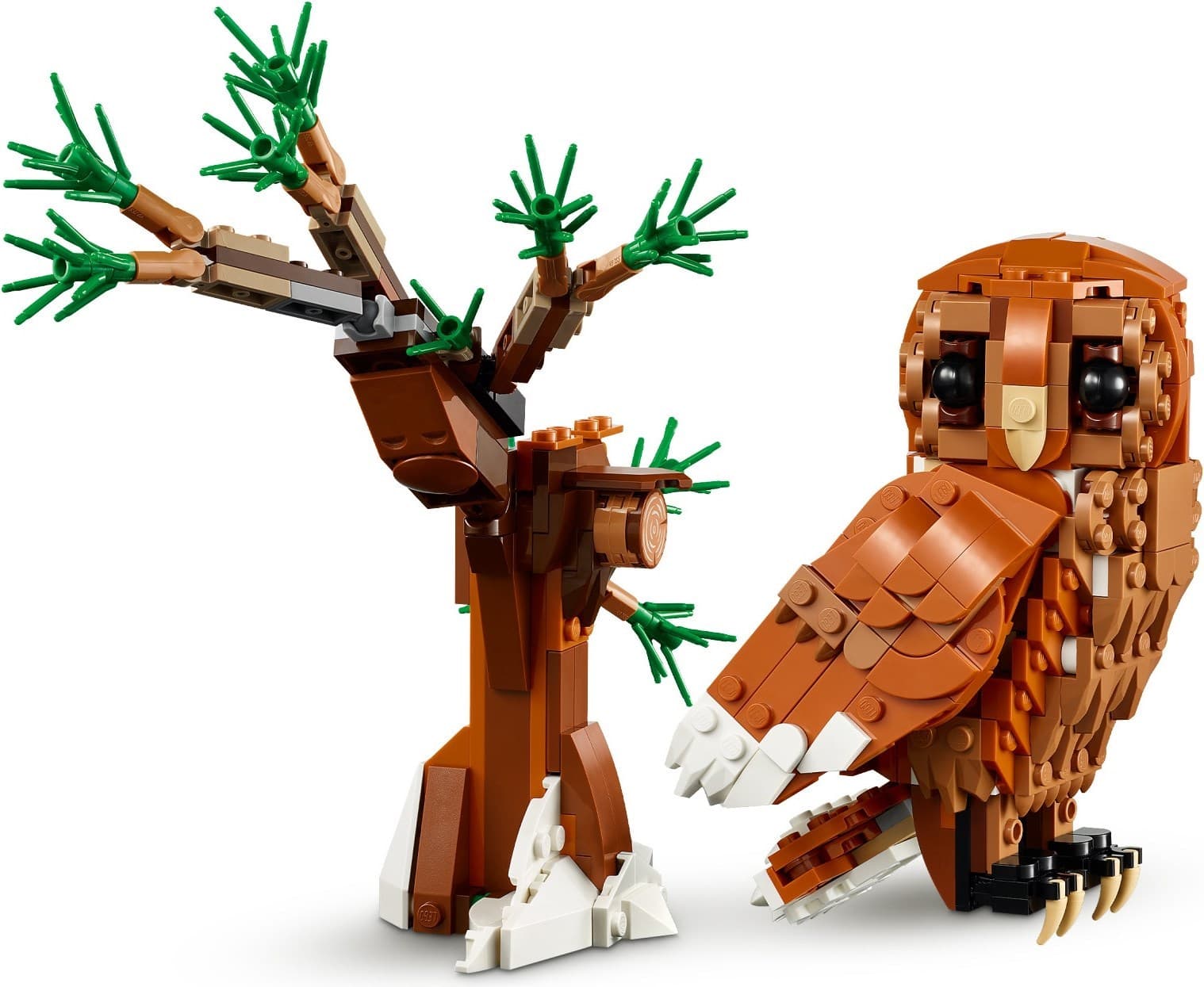 Forest Animals: Red Fox
