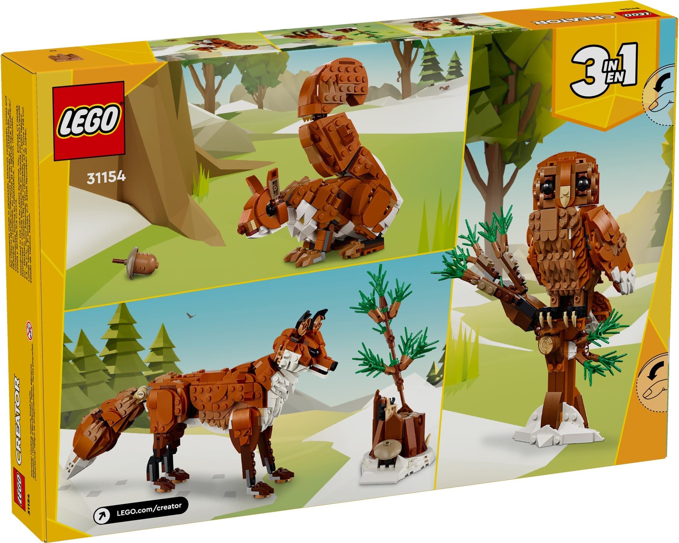Forest Animals: Red Fox