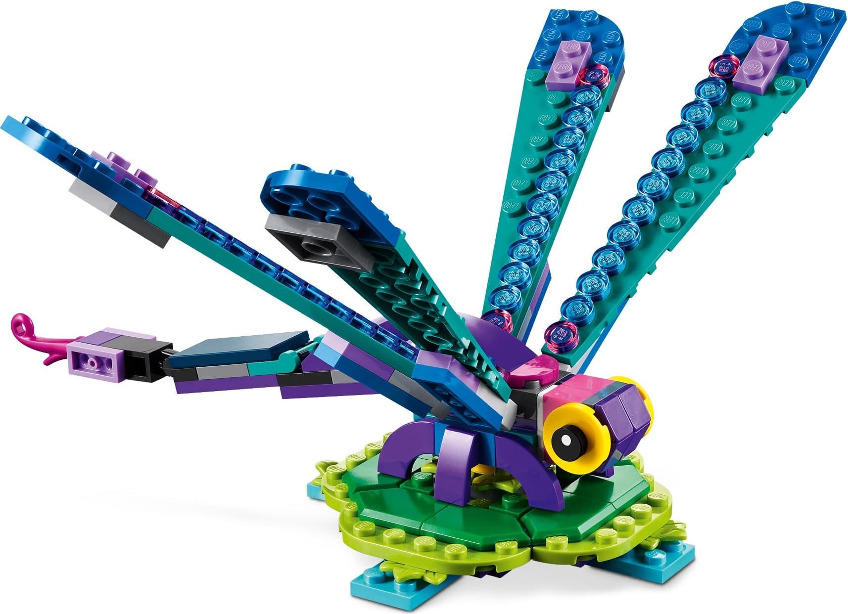 Exotic Peacock
