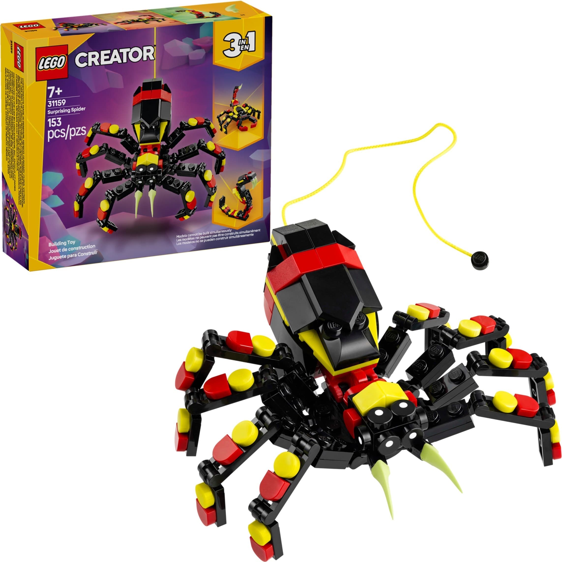 Wild Animals: Surprising Spider