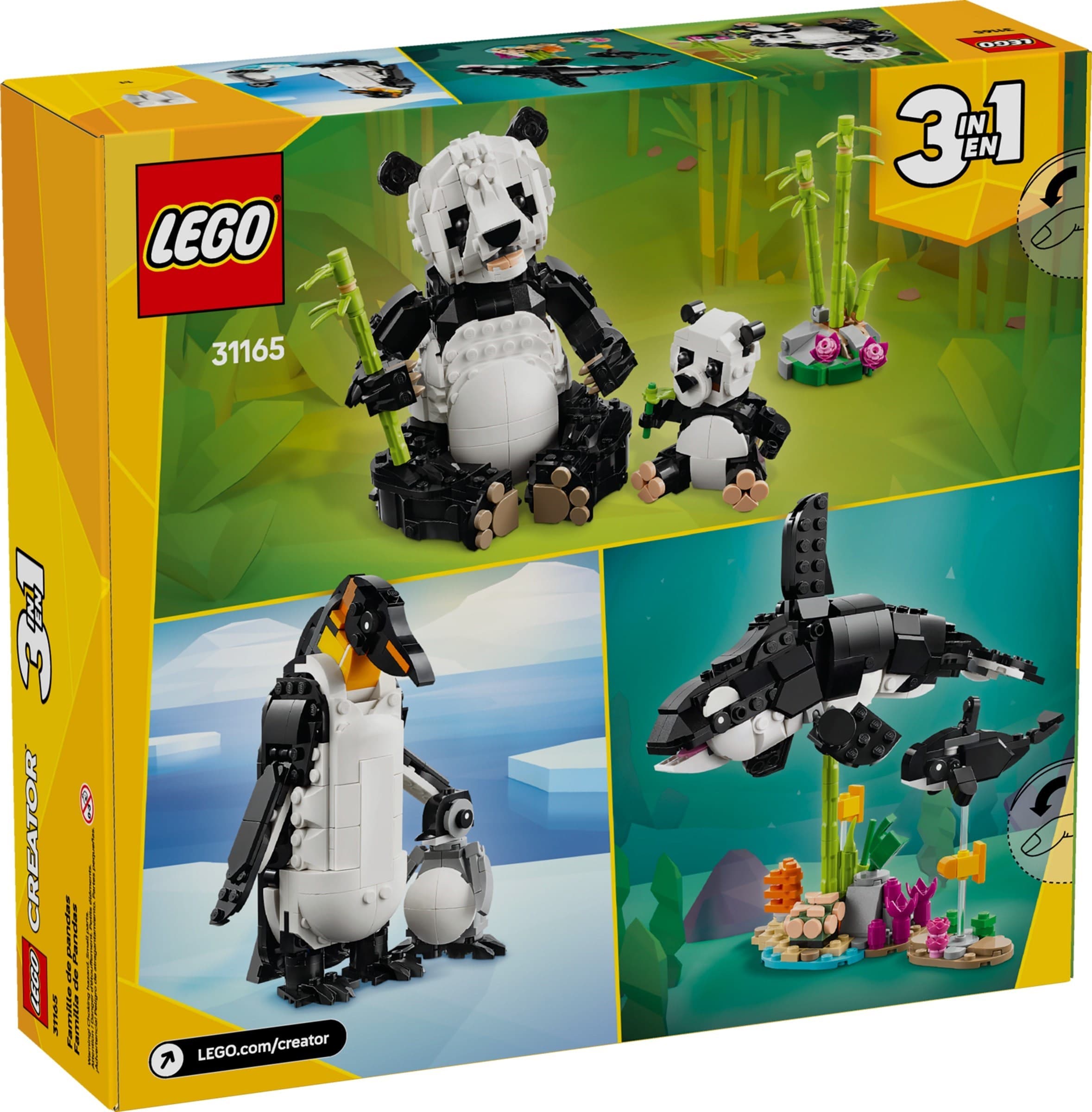 Wild Animals: Panda Family