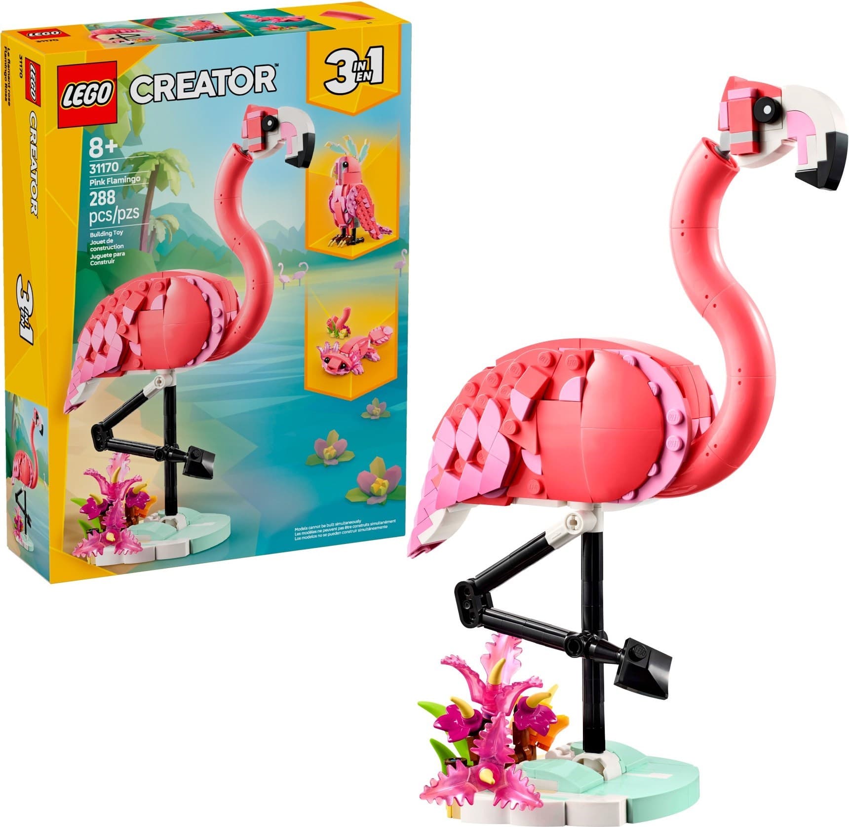 Wild Animals: Pink Flamingo