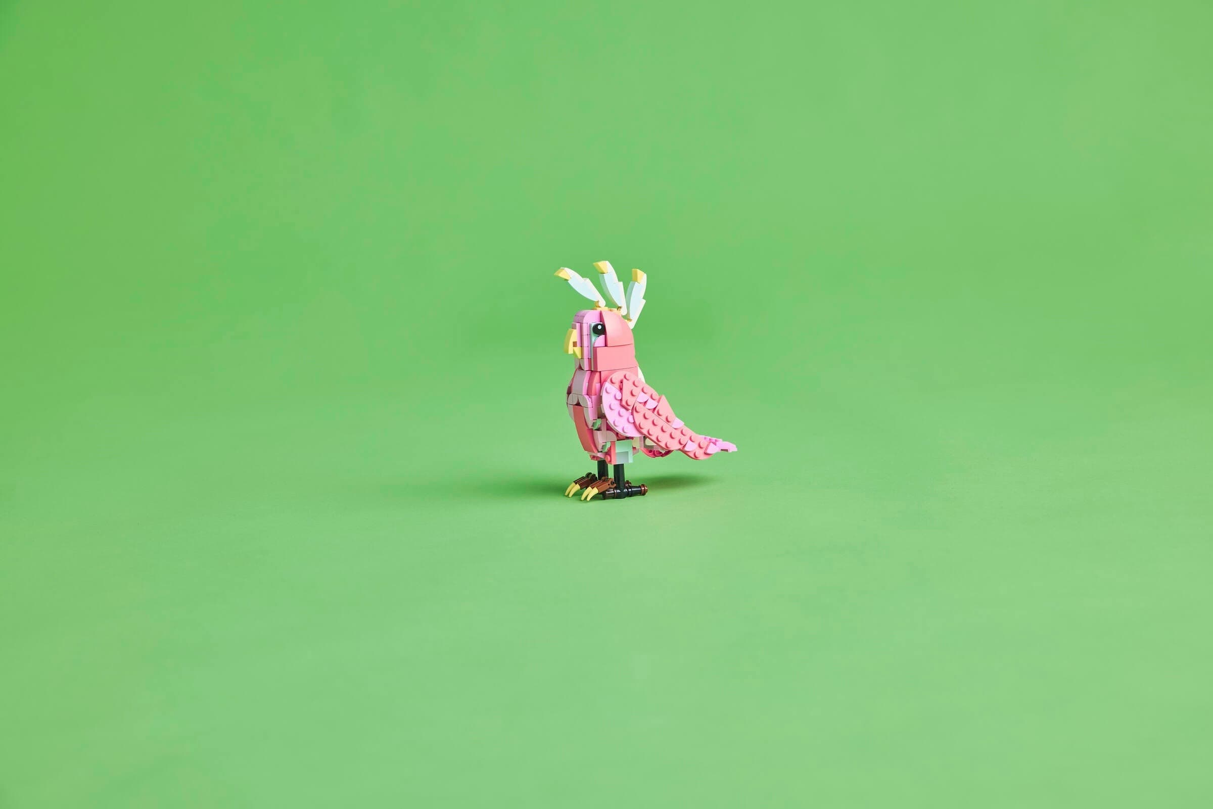 Wild Animals: Pink Flamingo