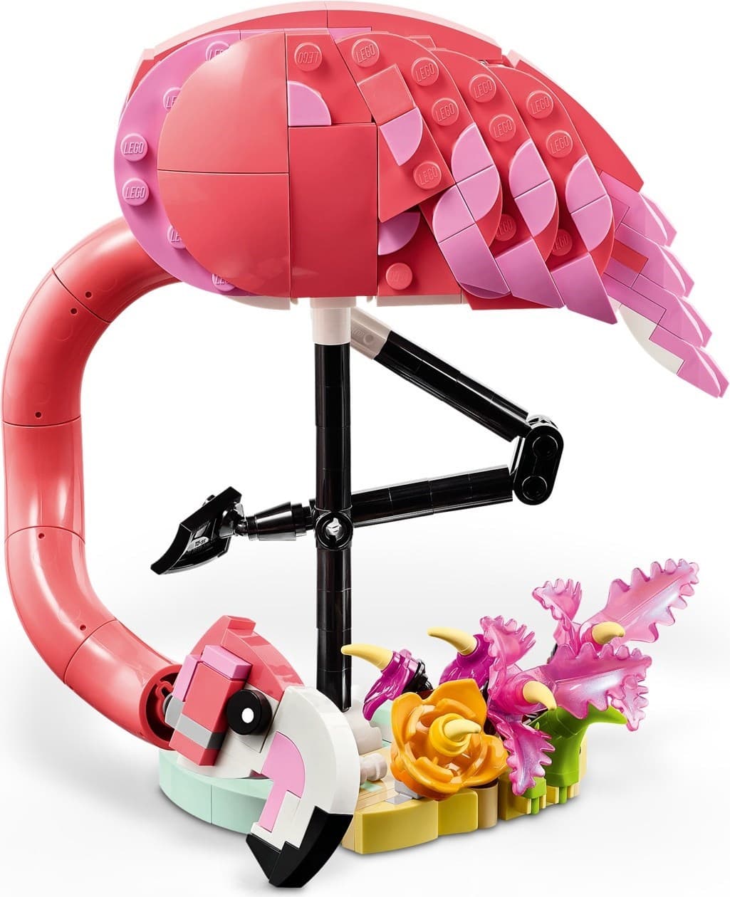 Wild Animals: Pink Flamingo