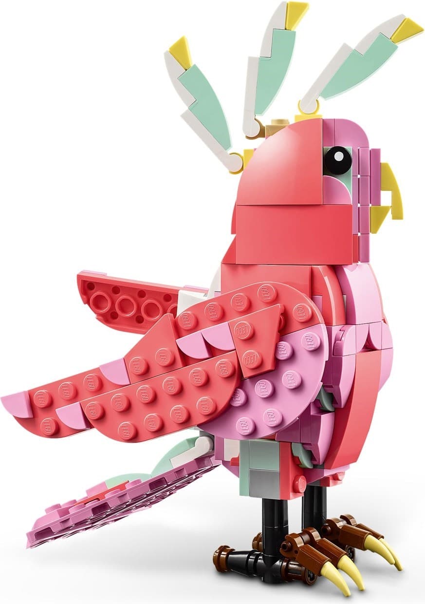 Wild Animals: Pink Flamingo