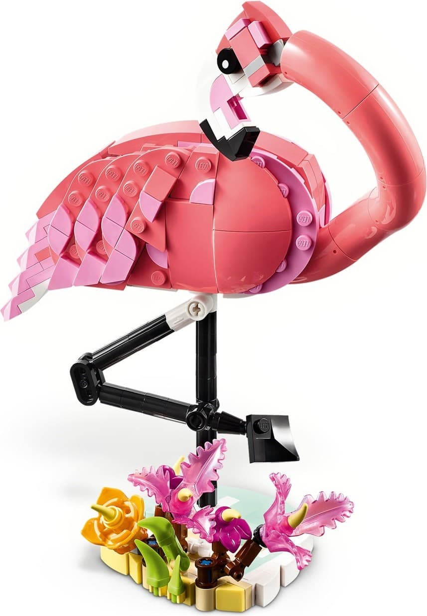 Wild Animals: Pink Flamingo