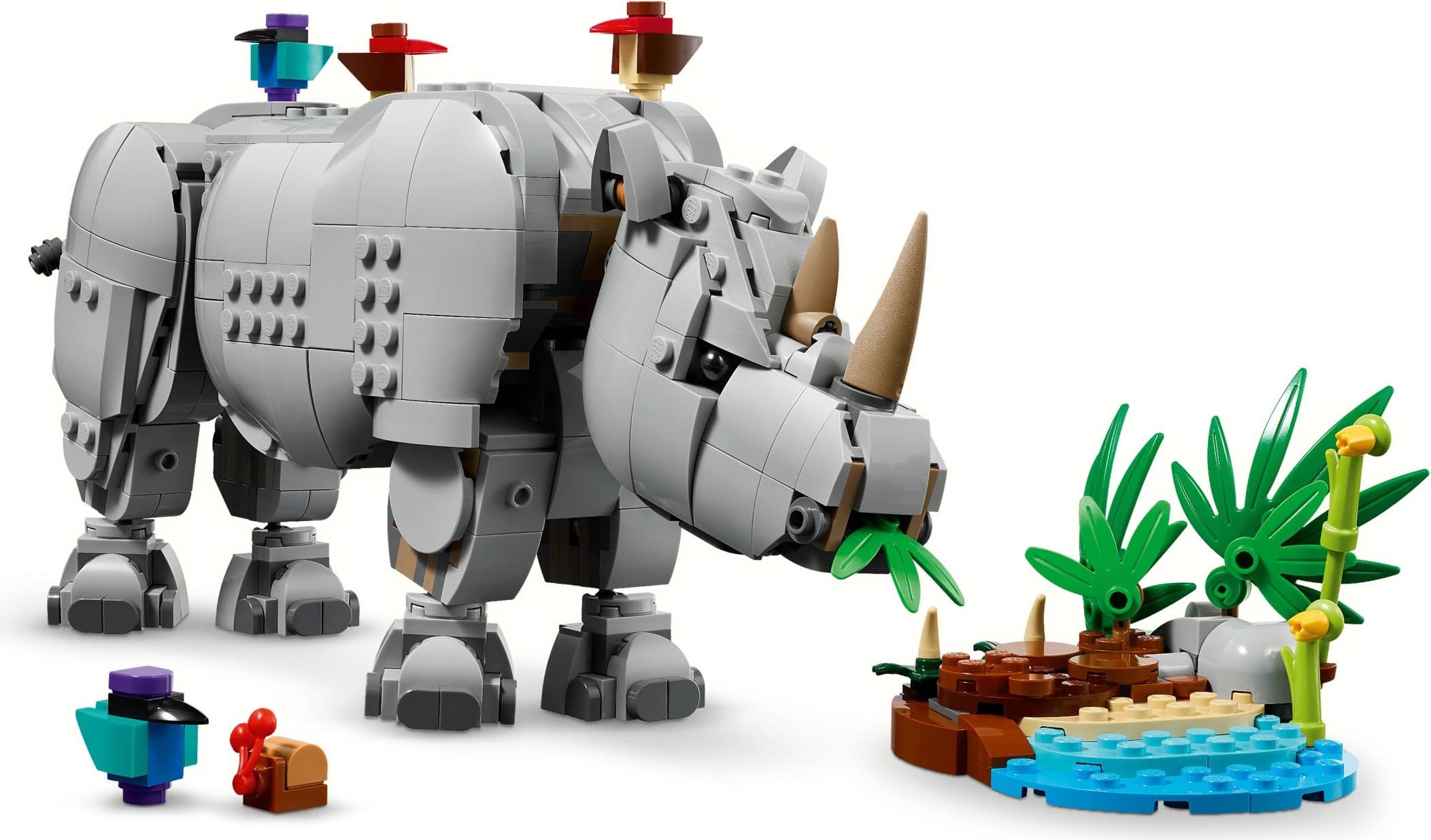 Wild Animals: Majestic Rhino with Birds