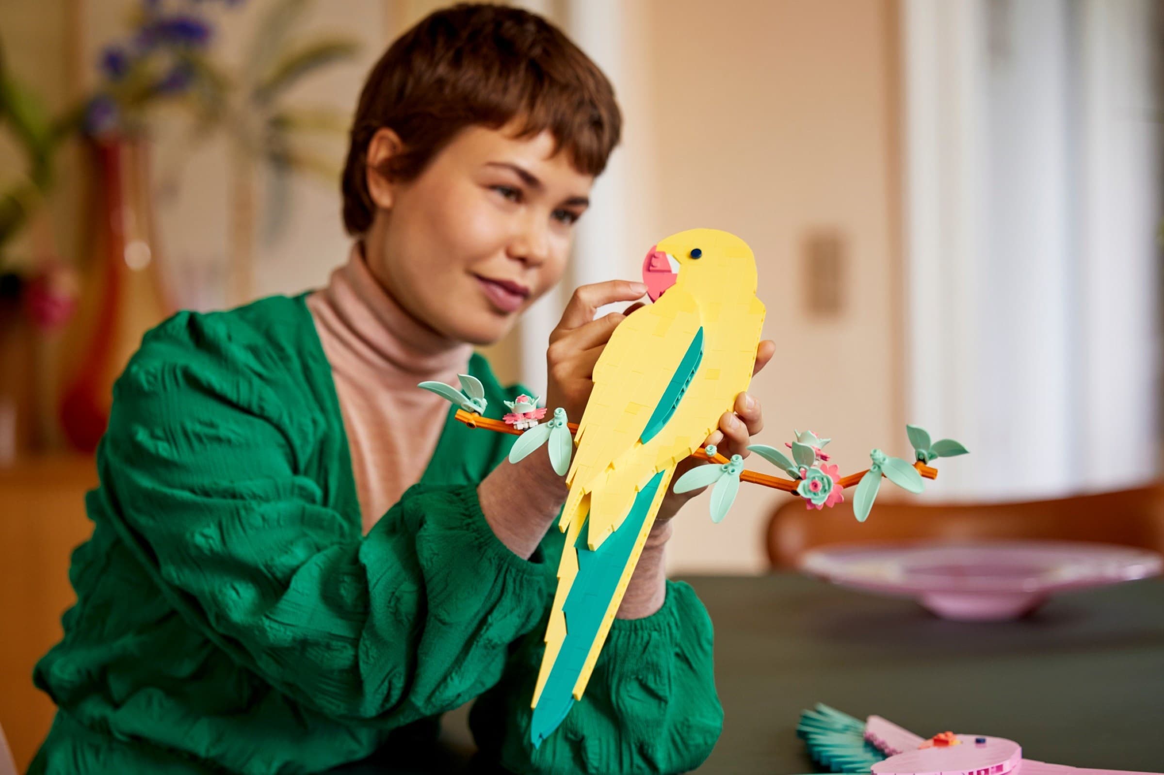 Macaw Parrots