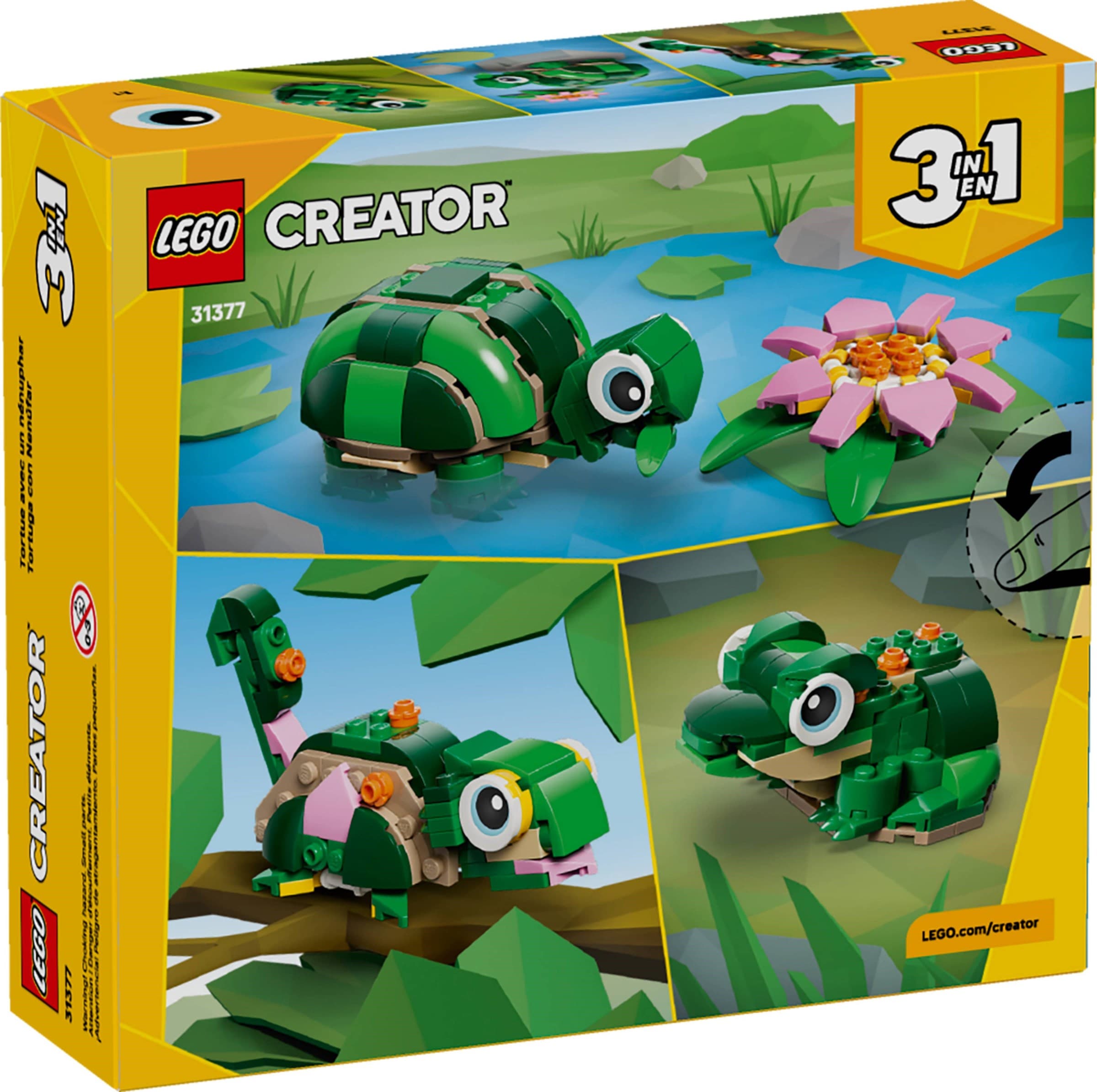 Turtle with a Water Lily Flower