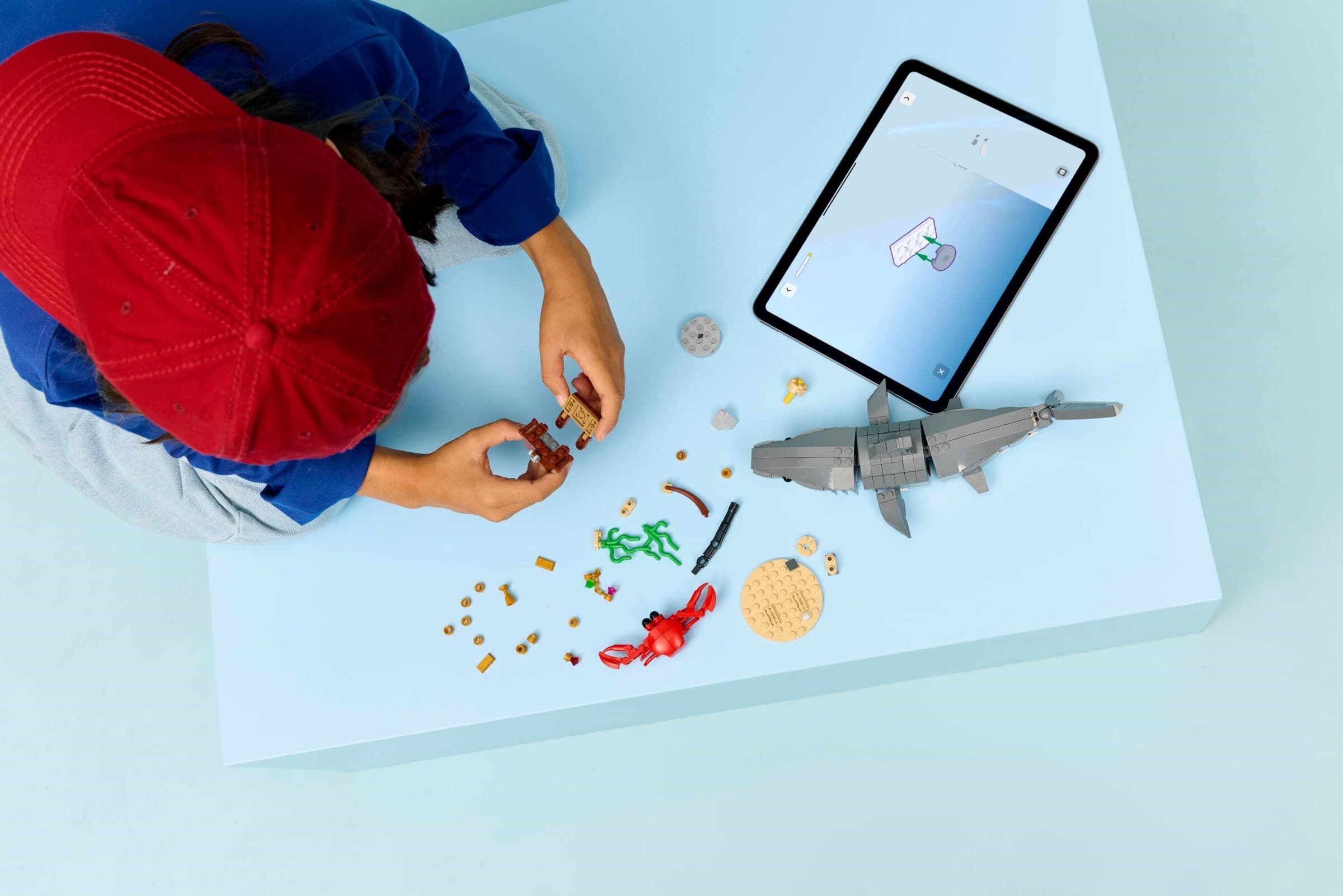 Fierce Shark with a Treasure Chest