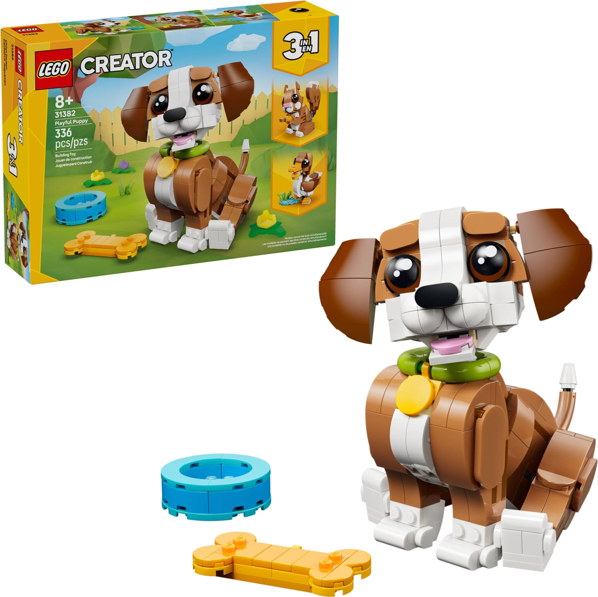 Cute Animals: Playful Puppy Dog
