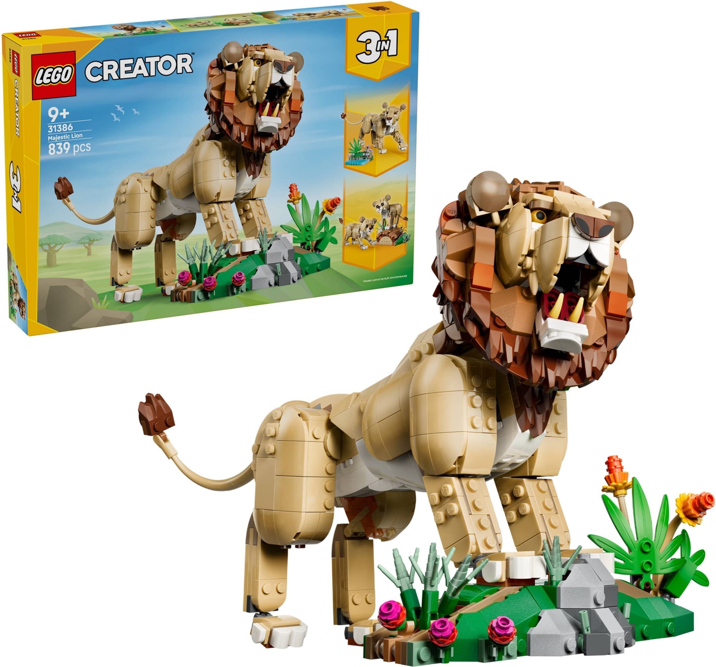 Wild Animals: Majestic Lion